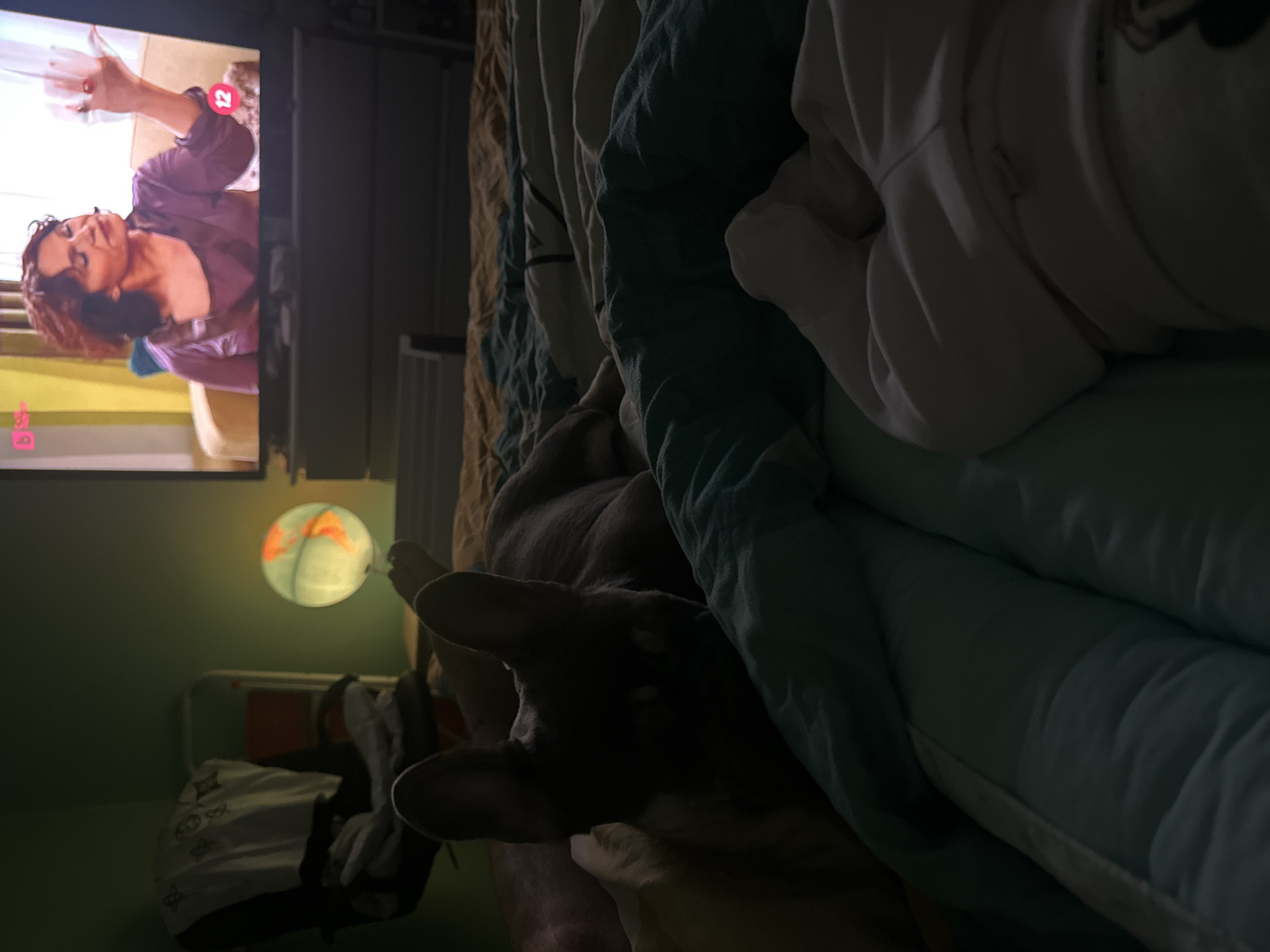 This image captures a cozy, dimly lit indoor scene, likely a bedroom, during the evening or night. The primary light sources are a television screen and a glowing globe lamp.
On the left side of the frame, a television displays a woman with brown, curly hair, wearing a purple or maroon top. She appears to be speaking or gesturing. On the TV screen, there are two pink square icons: one in the bottom left with an indistinct white symbol, and another in the upper right showing the number "12" in white, likely indicating a content rating.
The foreground and right side of the image are occupied by a bed, covered with blue, green, and white patterned bedding. A person, wearing a light-colored top, is partially visible under the covers. Snuggled next to the person, a dark-furred dog is also under the covers, with its head and ears visible, resting comfortably. The scene suggests a relaxed state, possibly watching television.
In the middle-left, a spherical lamp, designed as a globe, emits a soft, warm light, highlighting orange-colored continents on its surface. Below the lamp, on the floor, is a white bag with distinct dark patterns. The overall ambiance is one of comfort and relaxation at home.