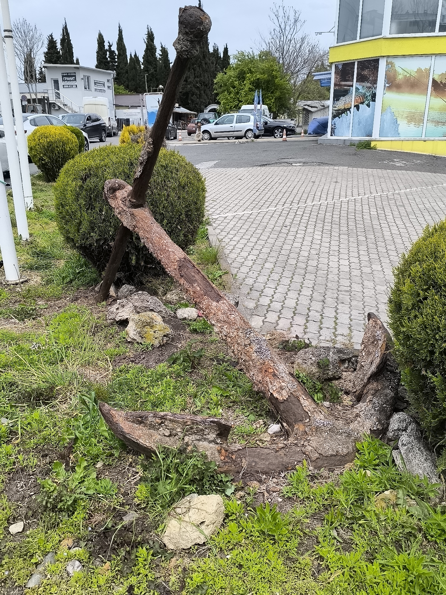 The image depicts a large, heavily rusted anchor lying on a grassy area adjacent to a paved parking lot. The anchor is partially surrounded by small, rounded bushes. The parking lot is made of interlocking gray pavers. In the background, there are several cars and buildings, including one with a yellow facade and window displays featuring marine themes, and another one sign with "ГРАНИТ МРАМОР" written on it. The image was taken in Burgas, Bulgaria.