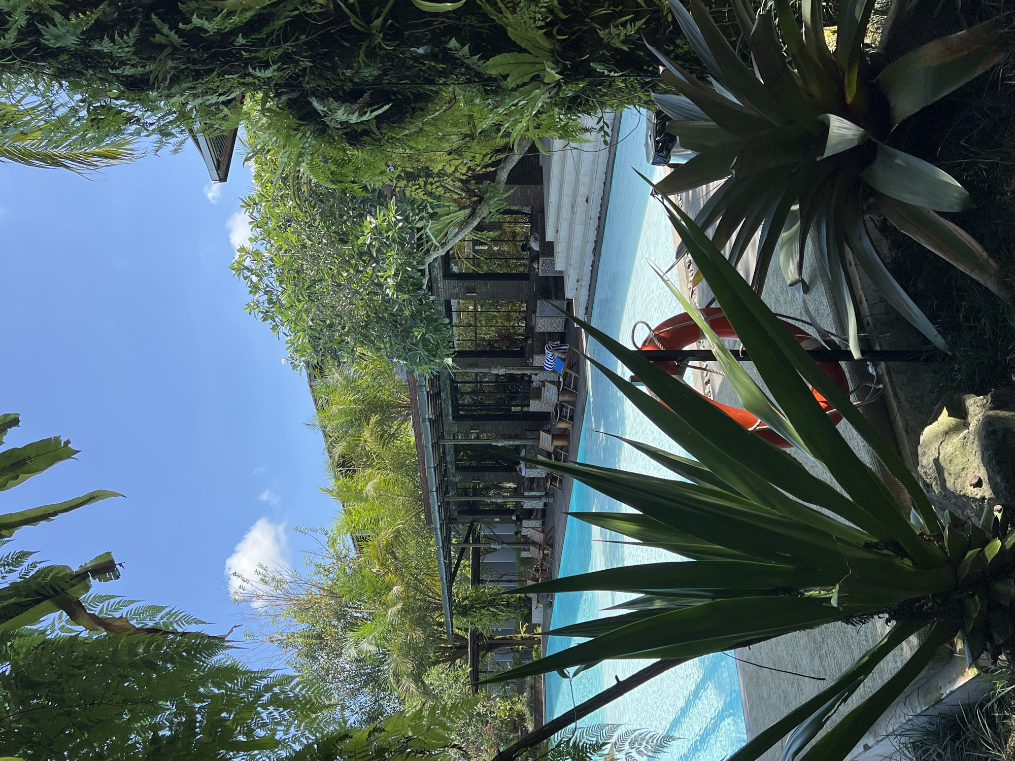 The image captures an outdoor swimming pool area in Petulu, Indonesia, surrounded by lush tropical vegetation. The pool is filled with clear, light blue water, suggesting a sunny day. A bright orange life preserver is propped up next to the pool edge. A covered structure with dark frames and a gray roof runs parallel to the pool's length, furnished with chairs and tables, some of which are occupied by people. The sky is visible between the foliage, showing a clear blue with a few scattered white clouds. The scene is framed by dense greenery, including large ferns and other tropical plants.