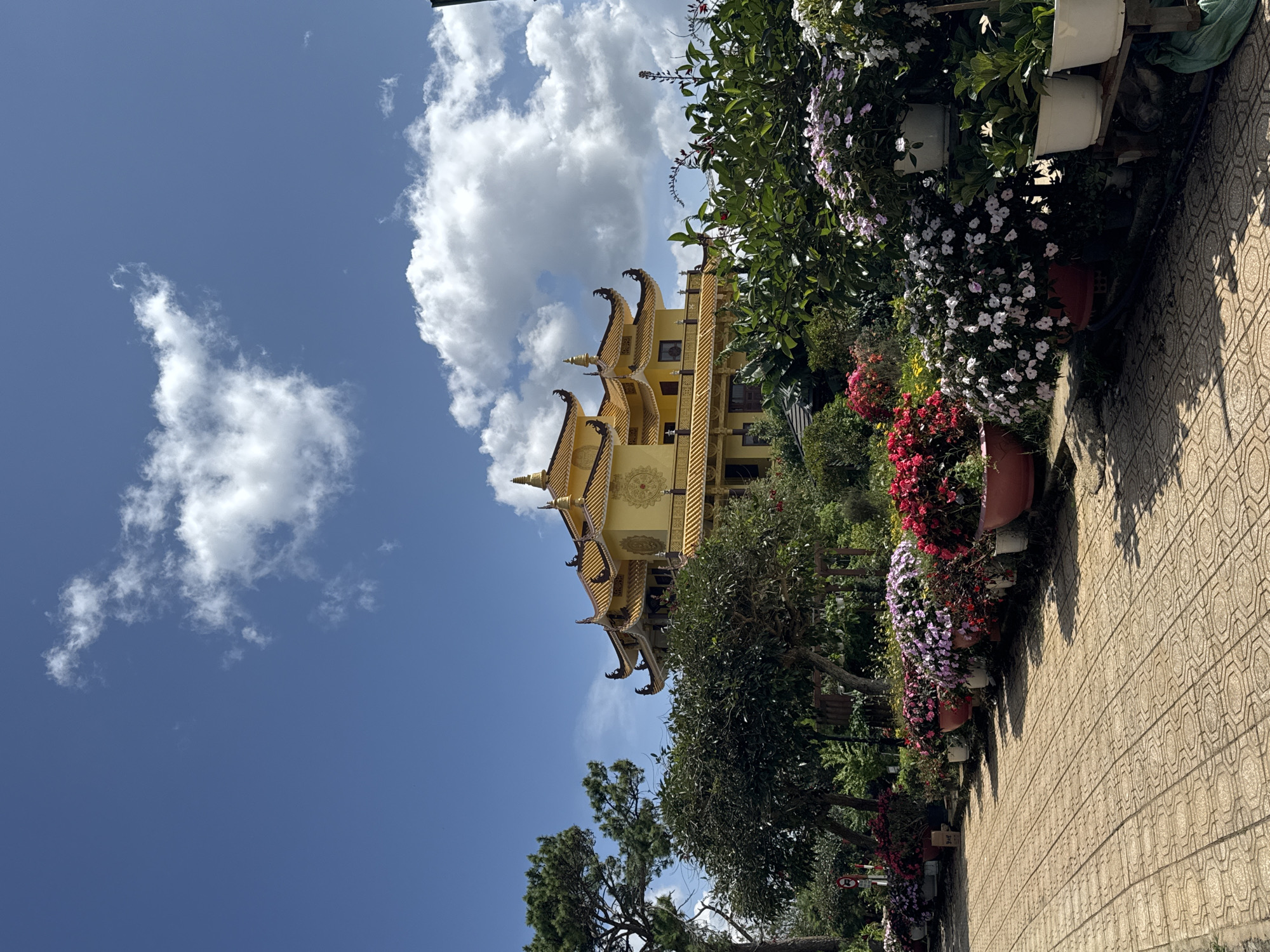 The image depicts a view of a Buddhist temple, likely Truc Lam Zen Monastery, in Da Lat, Vietnam. The temple is characterized by its traditional East Asian architectural style, featuring a multi-tiered golden roof with ornate eaves and finials. The building is set against a vibrant blue sky dotted with fluffy white clouds. In the foreground, a paved walkway with a patterned surface leads towards the temple. Alongside the walkway, a lush garden is bursting with an array of colorful flowers, predominantly in shades of pink, red, and white, arranged in large planters. Green trees and foliage frame the scene, creating a serene and picturesque setting. The lighting suggests it is daytime, with shadows cast by the trees and planters on the walkway. There are no people visible in the image.