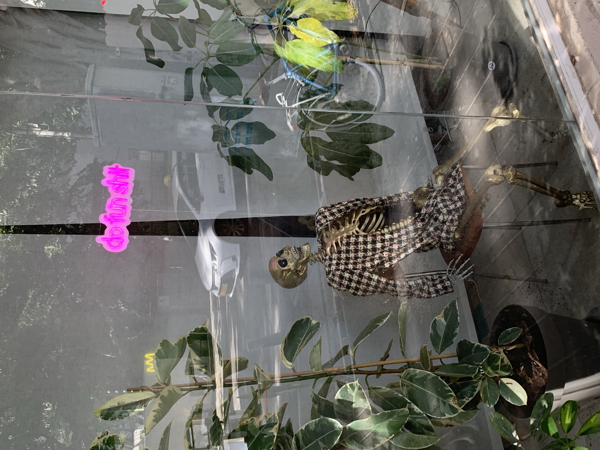 The image captures an interior scene, likely a shop window display, viewed through reflective glass. The main subject is a life-sized skeleton, possibly a prop, seated and dressed in a black and white houndstooth or plaid patterned jacket. The skeleton's bones have a distinct yellowish-gold hue.
Surrounding the skeleton are several potted plants with broad green and variegated leaves, contributing to a decorative and somewhat whimsical atmosphere. Numerous reflections are visible on the glass surface, including trees, a white car, and a bicycle, indicating an outdoor urban environment and daylight conditions.
A prominent pink neon sign, or a sticker designed to emulate neon, is affixed to the glass, displaying the text "do fun shit." The overall impression is a static, quirky display, possibly intended to catch the attention of passersby during the daytime. No human activity is depicted.