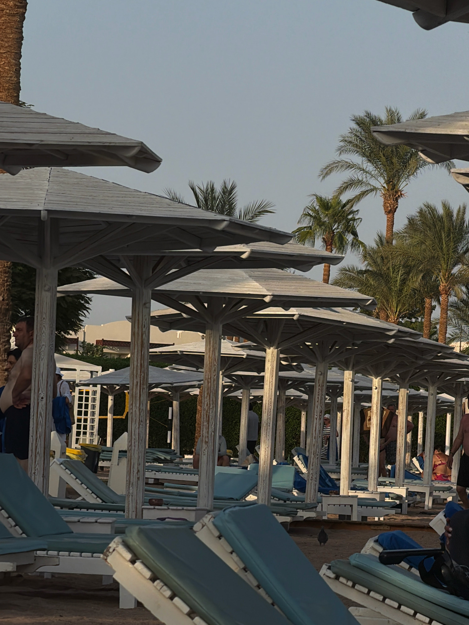 The image shows a beach scene in Sharm El Sheikh, Egypt, likely in the late afternoon or early morning given the lighting. The foreground is dominated by rows of empty, light blue lounge chairs set on sand, some of which are partially obscured by the shade of large, white wooden umbrellas. The umbrellas have a distinct structure with visible wooden supports and slatted tops.
In the middle ground, several people are visible. On the left, a man with dark hair and a light-colored shirt is standing, facing left. Further back, other individuals are standing or walking among the structures. One person wears a blue backpack. Palm trees are scattered throughout the scene, some appearing taller than the umbrella structures. The background consists of a pale, overcast sky and hints of buildings, suggesting a resort or hotel complex. The overall atmosphere is serene and undeveloped, with a focus on leisure amenities.