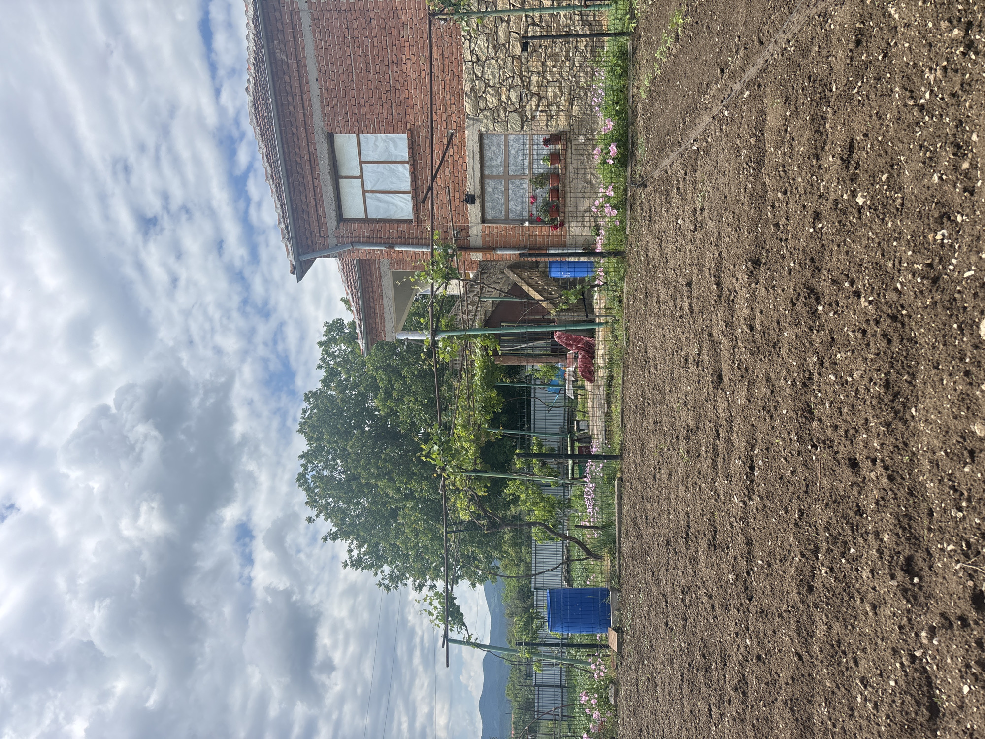 The image presents a view of a garden and house in Siva Reka, Bulgaria. The house, constructed of red brick and stone, has two windows visible, one with curtains and flower pots. A garden plot with tilled brown soil occupies the right side of the frame. A trellised structure with vines and trees runs along the edge of the garden. A blue barrel is situated within the garden, and a wire fence borders the property. The sky overhead displays a mix of clouds and blue sky.
