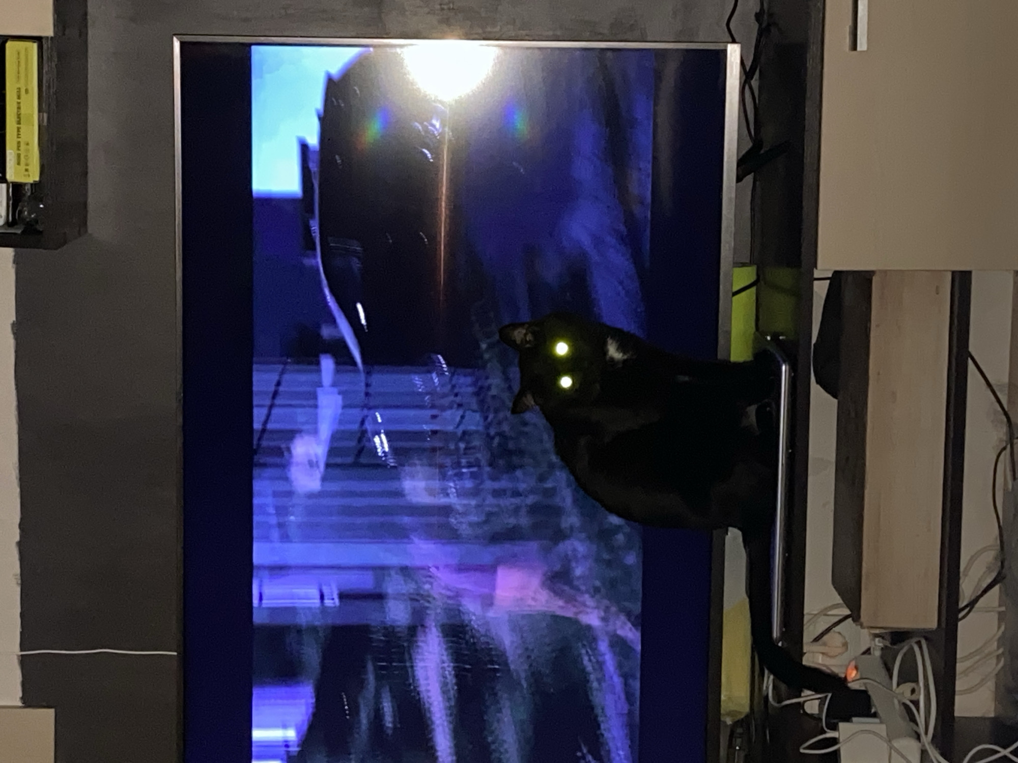 A medium shot captures a dimly lit interior scene. A black cat with glowing green eyes is positioned to the right of a large television screen, its body partially obscuring the view of the screen. The television displays a bright, blurred image with blue and white hues, and what appear to be architectural features and light reflections. To the left of the television is a dark gray wall with a small shelf holding a yellow object. To the right of the television, a clutter of wires and electrical devices is visible, along with a light-colored wall. The location is Chaikovsky, Russia.