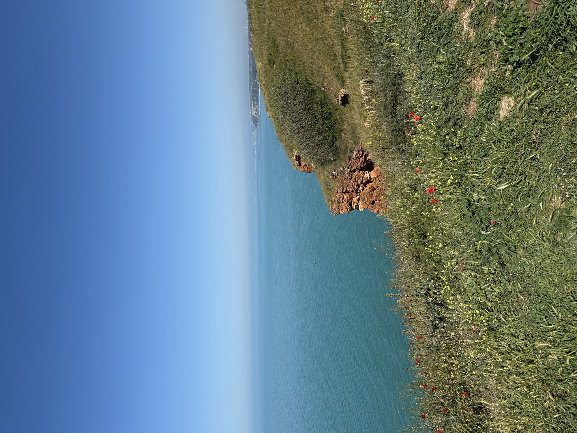 The image depicts a coastal landscape in Balgarevo, Bulgaria. A clear blue sky occupies the left portion of the image. The right side showcases a grassy cliff edge, dotted with wildflowers, overlooking the turquoise sea. A rocky outcrop extends from the cliff. In the distance, along the coastline, a faint outline of land is visible through the hazy atmosphere. There are no people visible in the frame.