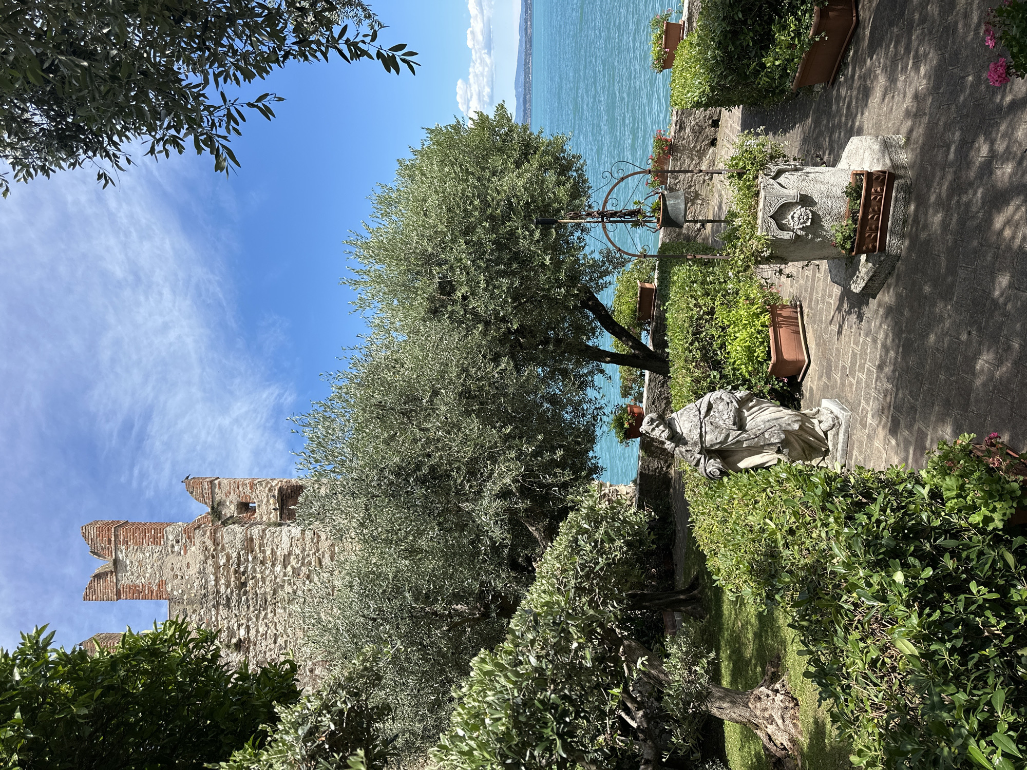 This image depicts a sunlit courtyard with ancient stone architecture and lush greenery, situated in Sirmione, Italy. The focal point is an old stone well, ornate with carved details, surrounded by potted plants and neatly trimmed hedges. To the left of the well, a weathered stone statue of a robed figure stands, its features softened by time. Behind the statue, a large olive tree with a gnarled trunk spreads its branches, offering dappled shade. In the background, a portion of an ancient stone castle with battlements is visible, constructed from rough-hewn stone and brick. Beyond the courtyard, a vibrant turquoise body of water, likely Lake Garda, stretches to the horizon under a bright blue sky dotted with wispy white clouds. The overall scene evokes a sense of historical charm and serene natural beauty.