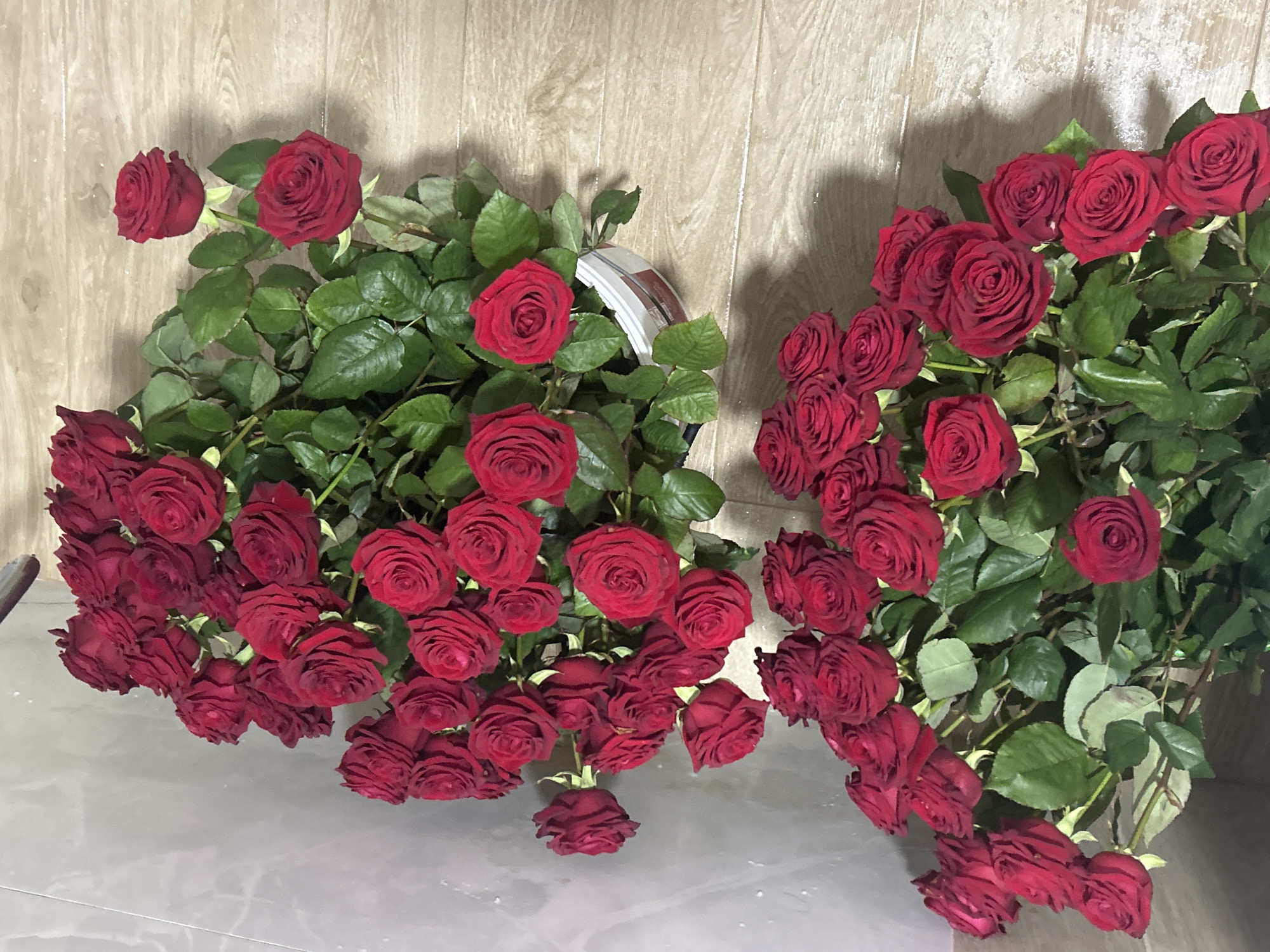 A still life photograph shows two large bouquets of red roses with green leaves arranged on a grey surface in front of a light wood-paneled wall. The bouquet on the left is partially contained in a light-colored container, while the bouquet on the right is uncontained. No people are visible. The location in Zlatograd, Bulgaria, is not discernible from the image.