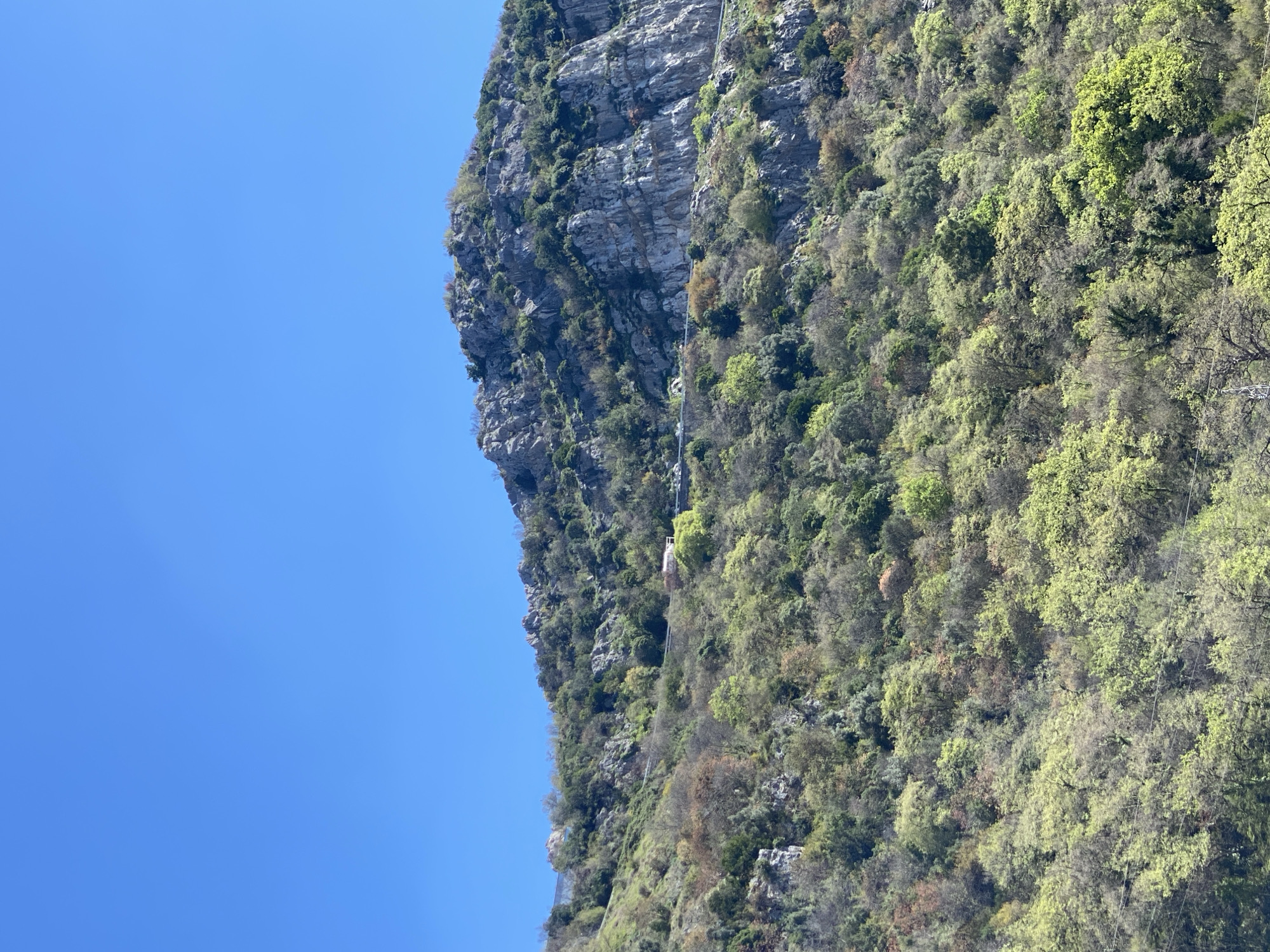 The image shows a steep mountainside in the Budva region of Montenegro against a clear blue sky. The mountain features a gray, rocky cliff face on its left side and is covered in lush green vegetation on its right. A funicular descends the steep slope.
