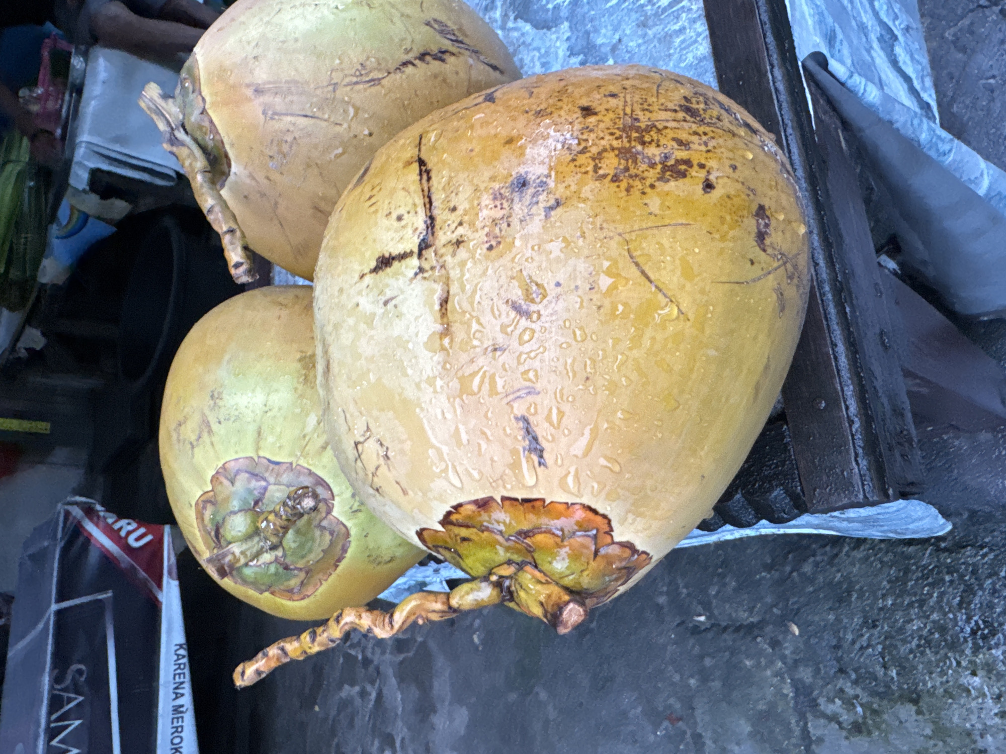 The image presents a close-up, slightly overhead view of three fresh, young coconuts, likely offered for sale at an outdoor market stall. The coconuts are a vibrant yellowish-green hue, characteristic of immature coconuts consumed for their water. Their surfaces are visibly covered in numerous water droplets, suggesting they have either been recently washed, refrigerated, or are exposed to a humid environment. Darker brown and black streaks are present on the husks.
In the background, elements of a market setup are discernible. The upper left corner shows a blurry outline of a person's arm or shoulder. To the right of the coconuts, dark wooden planks or structures are visible, along with a crumpled, light-colored tarp or cloth. In the lower left, a dark rectangular package or box is partially visible, bearing some text. The ground beneath the coconuts appears to be dark, possibly wet, concrete or asphalt.
A notable detail is the visible text on the packaging in the lower left: "KARU" and "SAM" are partially seen, while a distinct white strip reads "KARENA MEROKOK." This Indonesian phrase, meaning "Because Smoking," is a standard health warning found on cigarette packs, firmly placing the scene in Indonesia, consistent with the provided location context of Kuta. The image captures a momentary still life from a tropical street vendor's stand, emphasizing the freshness of the produce.
