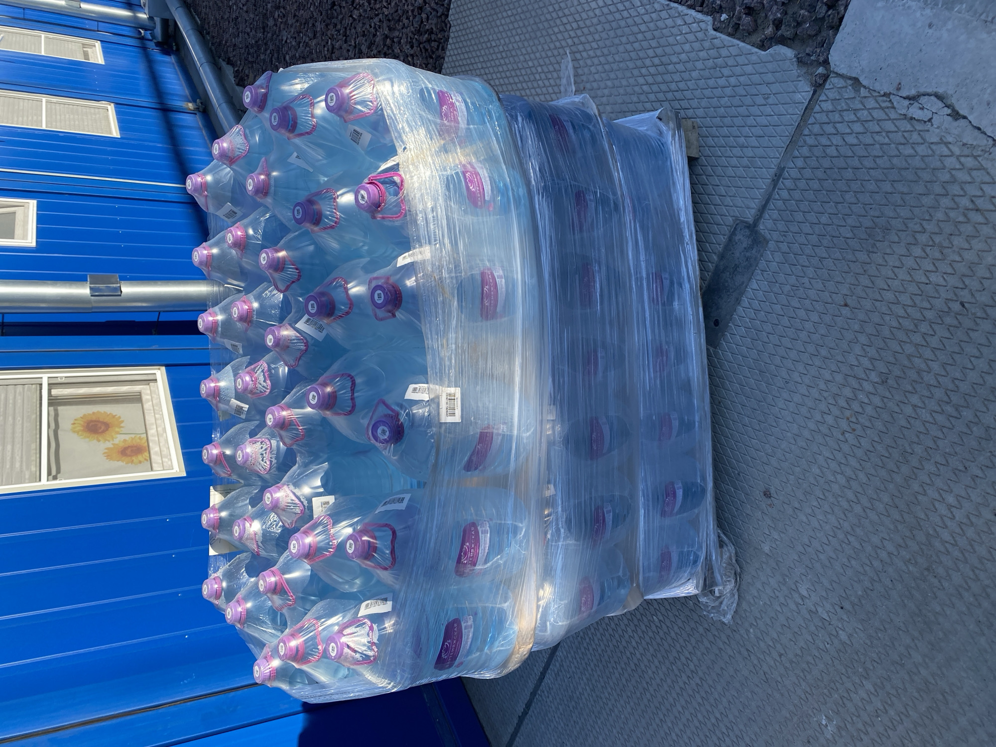 A large pallet of approximately 30-40 clear plastic water bottles, each appearing to be five-gallon capacity, is prominently featured in the image. The bottles are tightly wrapped in clear plastic film for transport or storage. Each bottle has a distinctive purple-pink cap, many of which display a white symbol resembling a stylized 'W' or 'M'. Visible labels on the bottles include barcodes and the Cyrillic text "АРТЕМИЕВСКАЯ" (ARTEMIEVSKAYA), indicating the brand.
The pallet is situated outdoors, next to a bright blue building with a corrugated metal exterior. The building has several white-framed windows; through one, a curtain with a sunflower pattern is visible. The ground beneath and around the pallet is a gray paved surface with a raised diamond pattern, transitioning to a rougher, gravelly area in the background. A metal bar is also seen on the ground near the pallet.
The scene is illuminated by bright daylight, suggesting a sunny day. No individuals are present, and no specific activity is ongoing, implying the water is either awaiting delivery or stored temporarily. The setting appears to be an industrial or service area, possibly in Koskolovo, Russia.