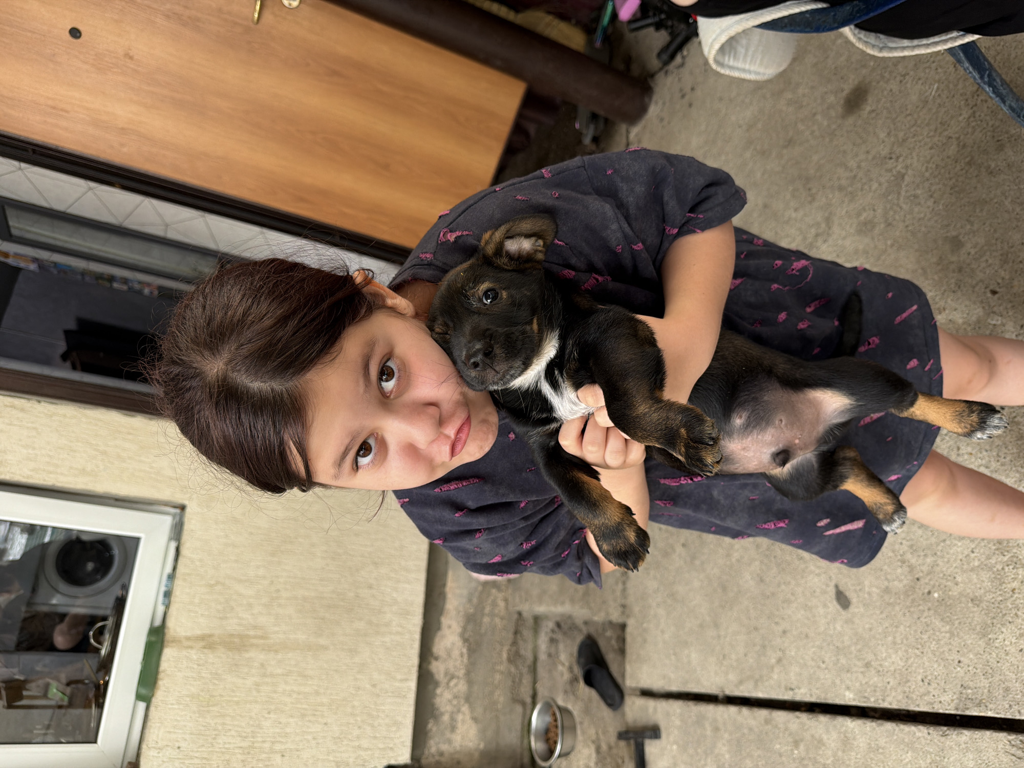 A young girl is holding a black and tan puppy in front of a weathered beige wall and a wooden door. The girl has dark hair and is wearing a dark t-shirt with pink markings. She is making a pouting face as she holds the puppy close. The puppy has floppy ears and a white patch on its chest. The background includes a window with reflections, a metal food bowl with kibble, a black sandal, and a part of a white plastic structure. The ground is made of concrete. The scene appears to be outdoors in a somewhat utilitarian area, possibly a backyard or alleyway, in Tuapse, Russia.