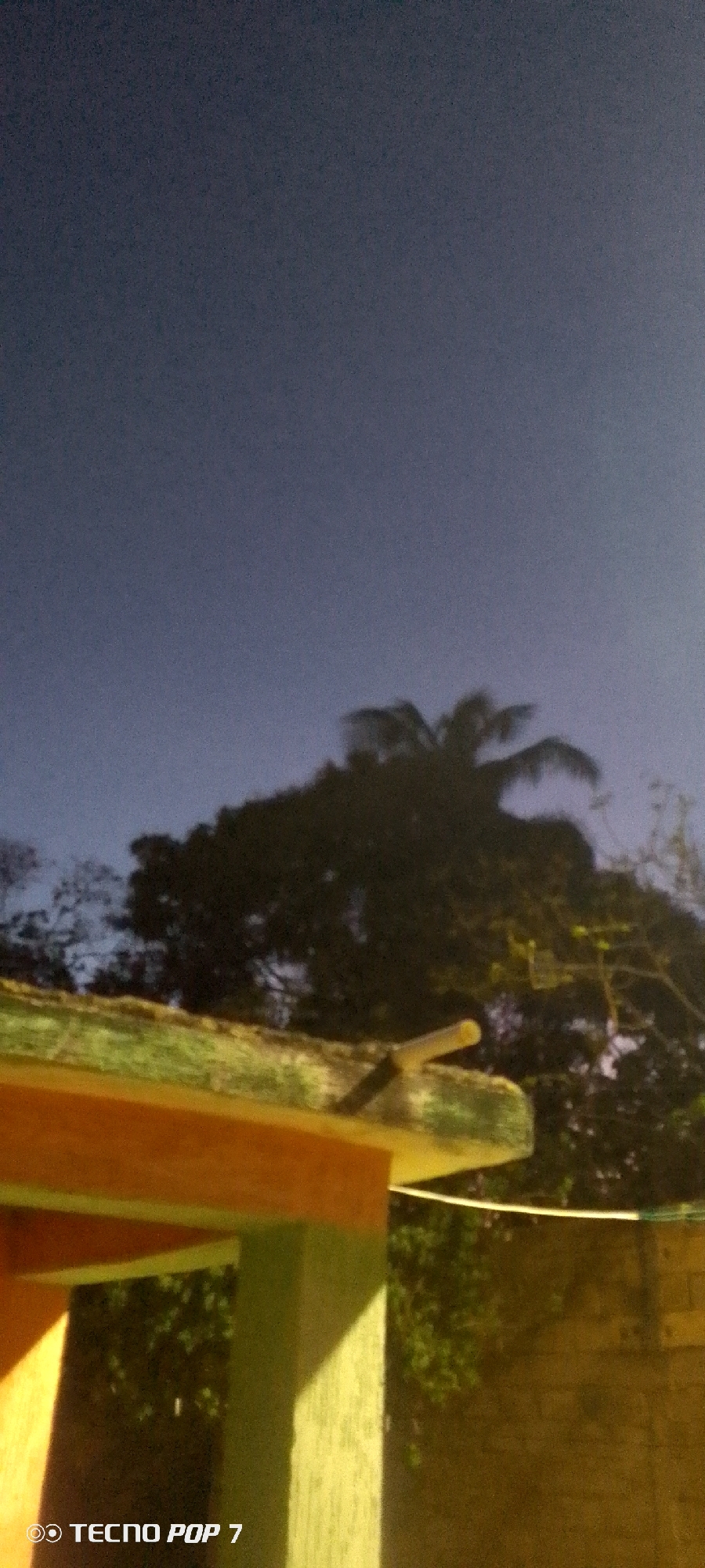 The image, likely taken at dusk or night, shows a building under an open sky in Altagracia, Venezuela. A portion of the building's roof, painted with a yellow trim and green body, is visible in the foreground. A cylindrical object protrudes from the roof's edge.
Beyond the building, trees, including a palm tree with its distinct fronds, are silhouetted against the dark blue sky. A wall runs along the right side of the image, with foliage partially obscuring it. The camera's watermark "TECNO POP 7" is at the bottom left corner. The overall lighting suggests artificial sources are present, possibly streetlights. The exact location within Altagracia is not discernible from the image alone.