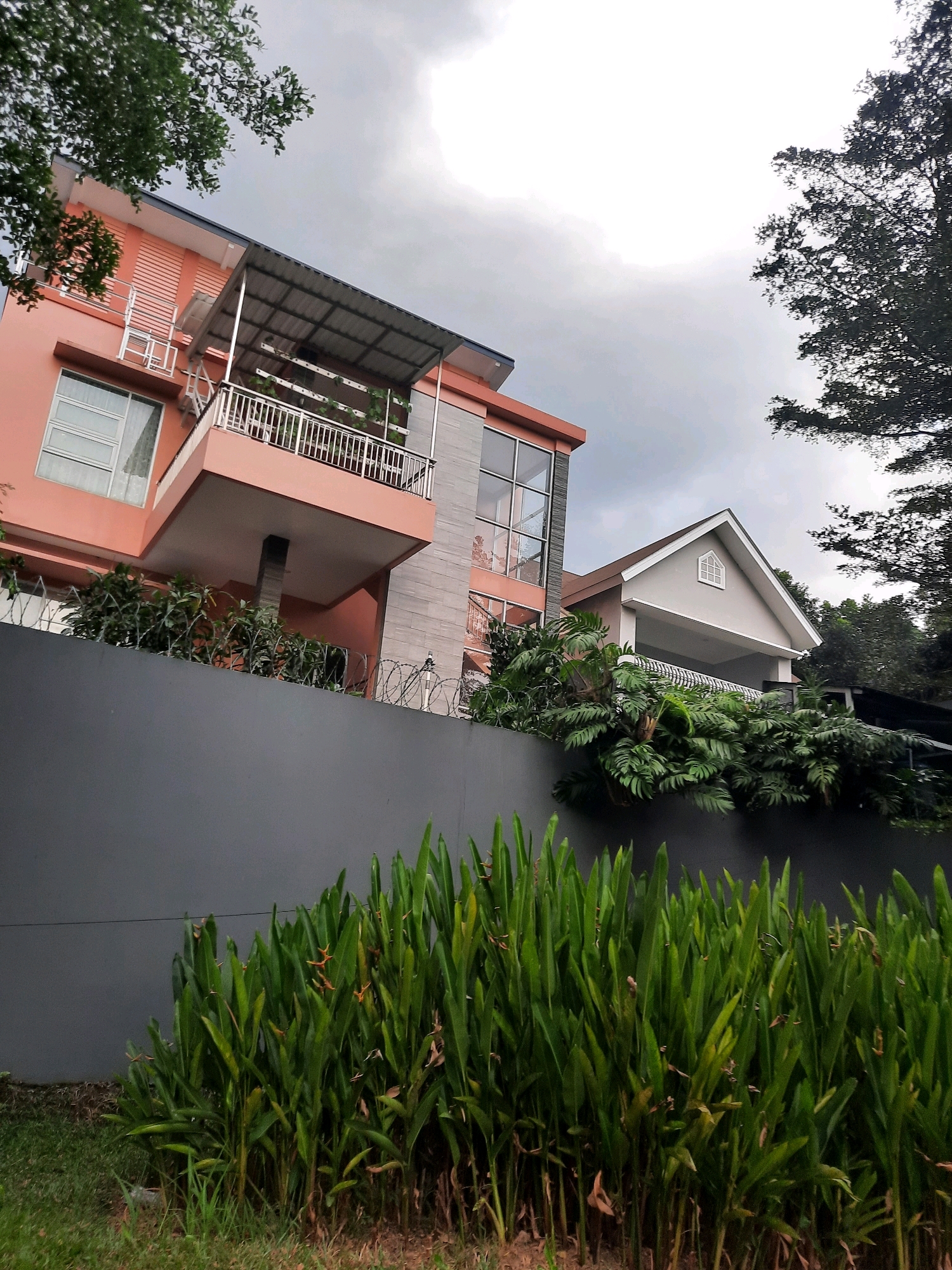 This is a medium-angle, eye-level, full outdoor shot taken in Babakan Madang, Indonesia. The image features a modern residential property with an overcast sky. The foreground is dominated by a dense cluster of tall, green plants, possibly Heliconia, with some orange blooms visible. Behind the plants is a dark grey, solid wall.
Beyond the wall, the scene opens up to reveal the property's architecture. On the left, a multi-story building with a salmon-pink facade is visible, featuring large windows, a balcony with a metal railing, and a metal-roofed awning. The building has a modern, angular design. To the right of this structure, a second, lighter-colored building with a gabled roof and a dormer window is partially visible. This building appears to have a covered porch or carport area with a railing.
A line of barbed wire is strung along the top of the grey wall, suggesting a security measure. Lush green foliage, including large-leafed plants and tree branches, is present on the property, contrasting with the man-made structures. The overall atmosphere is slightly muted due to the cloudy weather. No people are visible in the image.