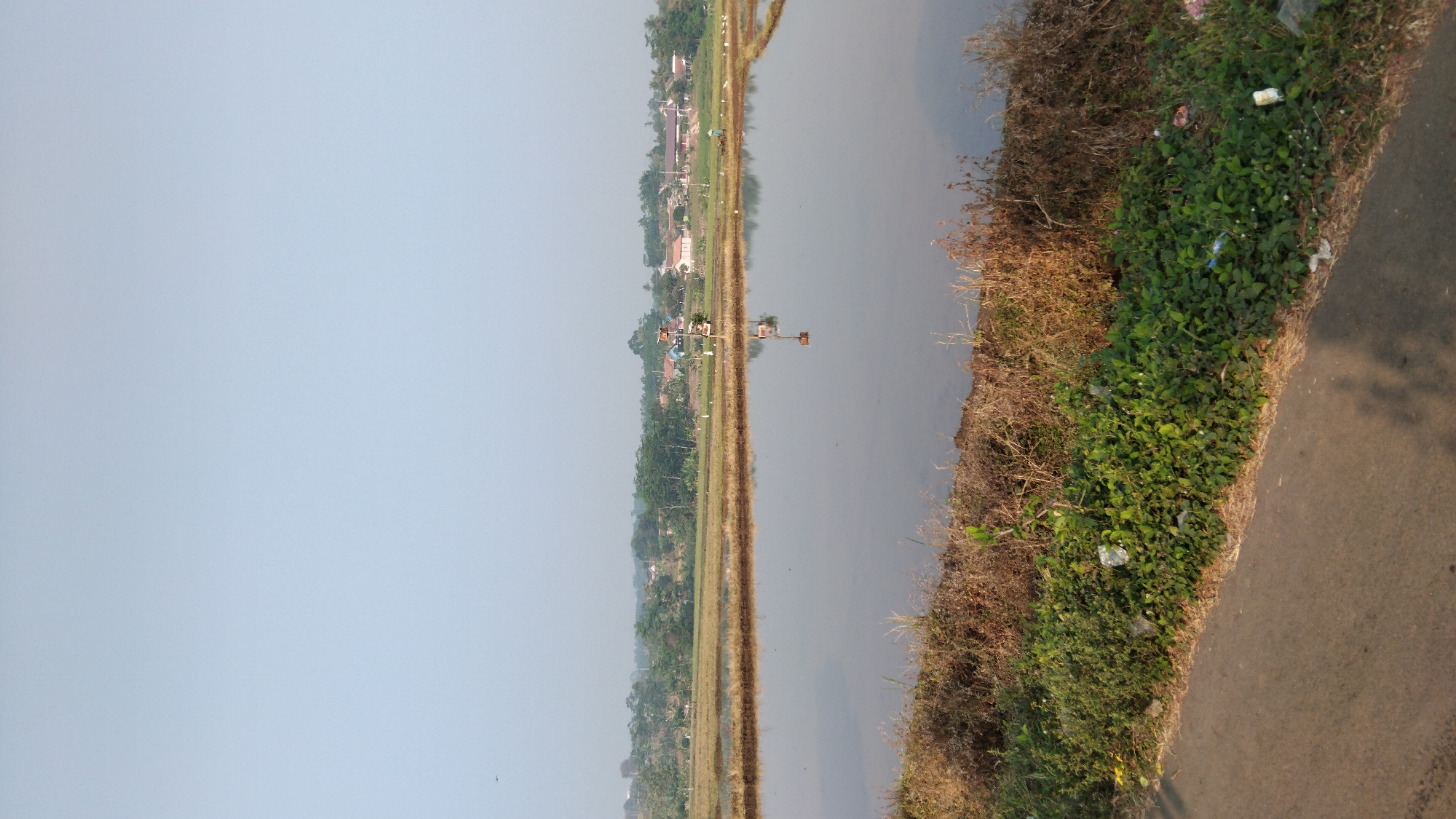 The image captures a serene rural landscape in the city of Posong, Indonesia, dominated by a flooded rice paddy reflecting the pale sky. The foreground features a paved road bordered by a strip of lush green vegetation and dry, brown brush. A prominent feature in the middle ground is a tall, wooden structure, possibly a scarecrow or bird deterrent, with several tiers, casting a reflection on the water. Beyond the paddy, a line of trees separates the water from a village with several houses visible, their roofs varying in color. In the distance, rolling hills are faintly discernible. The sky is a hazy, light blue, indicating either early morning or late afternoon light. Several white birds are scattered across the rice fields, and a single figure, possibly a farmer, can be seen in the distance. The overall impression is one of tranquility and rural life.