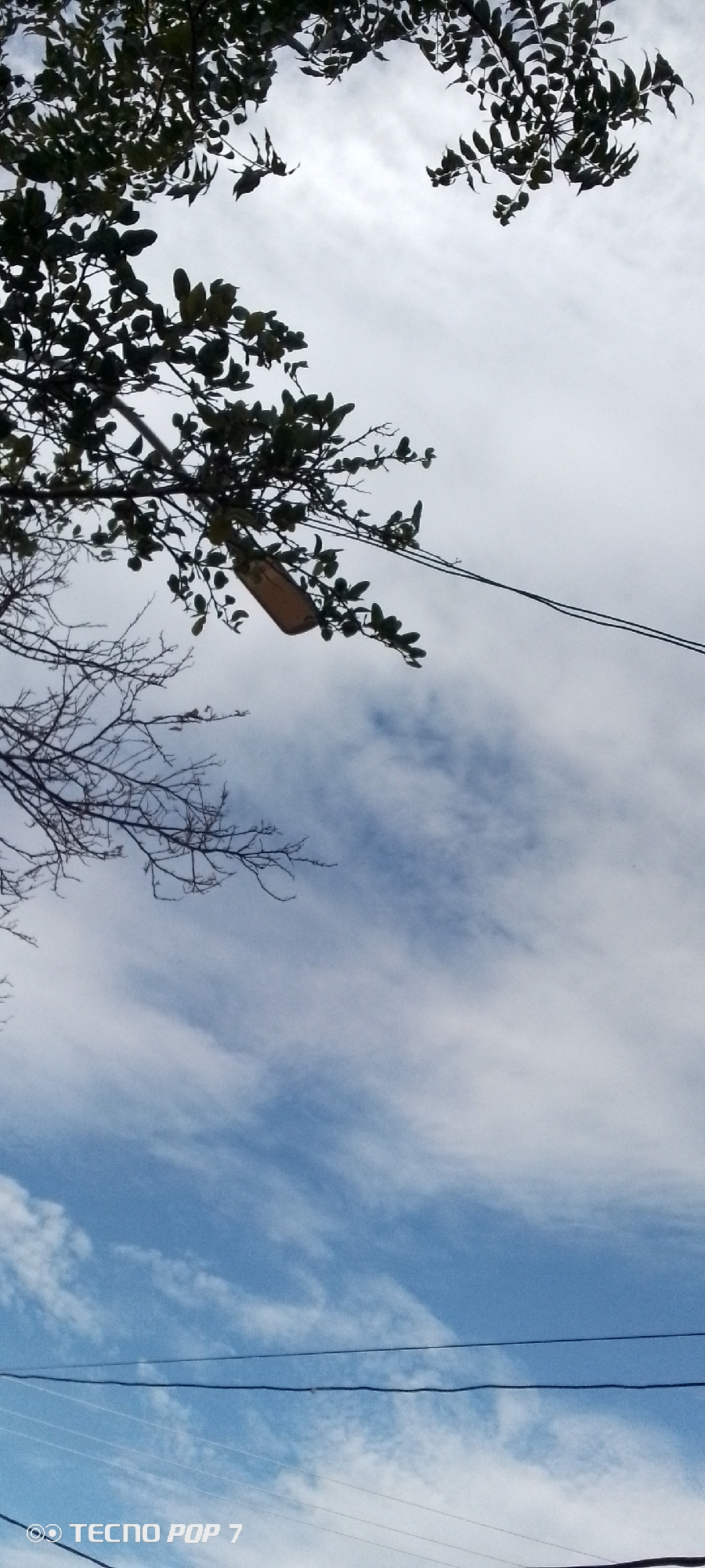 The image shows an outdoor scene dominated by a cloudy sky with patches of blue. In the foreground, silhouetted branches of a tree with green leaves and bare twigs are visible against the sky. A light brown, elongated object, possibly a piece of wood or a tool, hangs from a branch by what appears to be a wire or string. Power lines stretch horizontally across the upper right portion of the frame. The bottom of the image features a watermark indicating "TECNO POP 7". The scene is captured from a low angle, looking upwards. There are no people visible in the image. The overall environment suggests an urban or semi-urban setting, possibly in Altagracia, Venezuela, given the watermark.