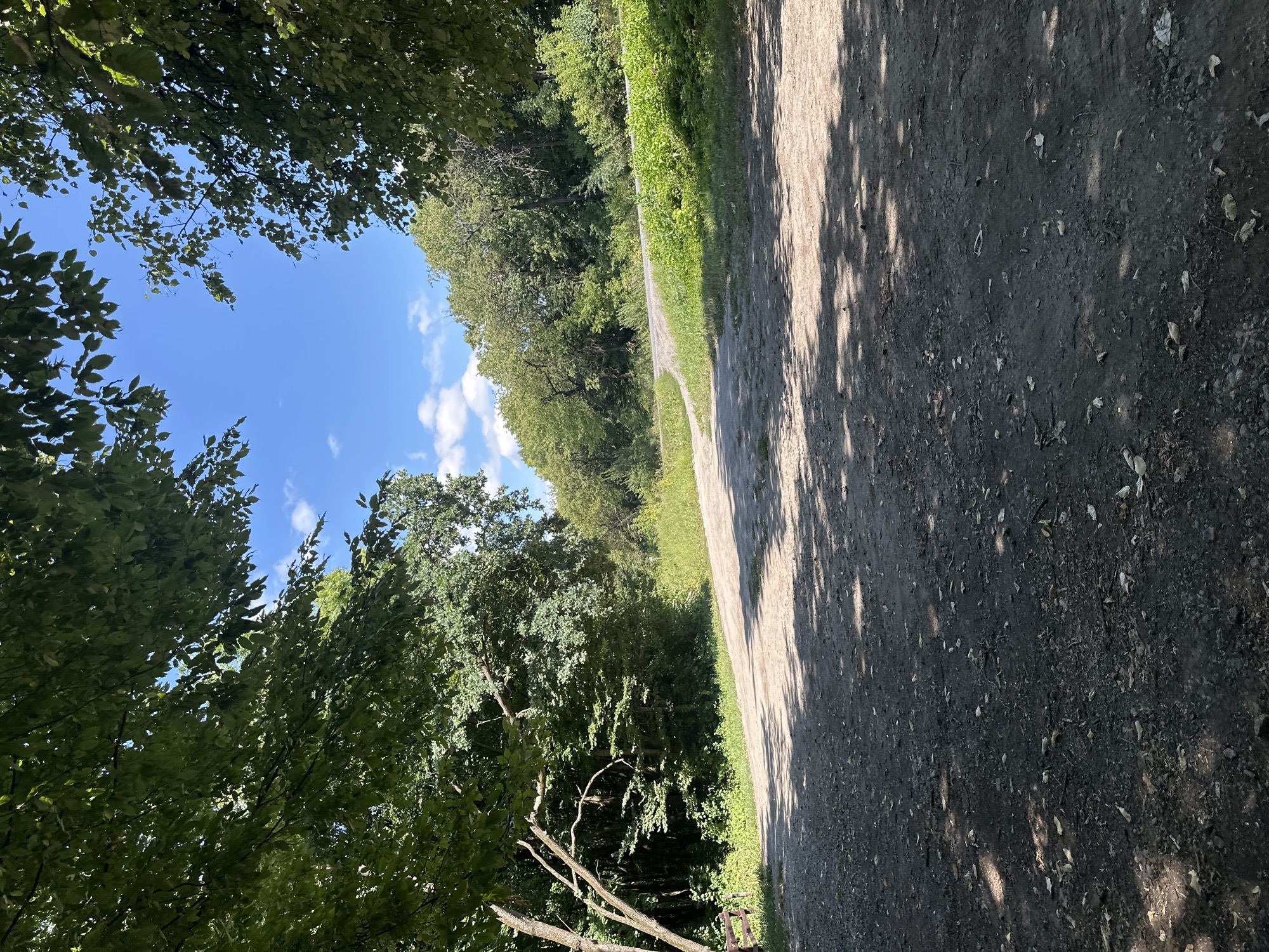 A ground-level, eye-level, medium shot shows a fork in a dirt path surrounded by trees. The path is made of dark soil and small pebbles, with scattered leaves and twigs. Sunlight casts dappled shadows from overhead foliage onto the path. To the left, a dead tree branch extends diagonally. Beyond the path, a paved road curves to the right, bordered by lush green grass and dense trees. The background is filled with a dense forest of green trees under a bright blue sky dotted with white clouds. The scene is peaceful and natural, suggesting an outdoor location in a rural or park setting. No people or animals are visible.