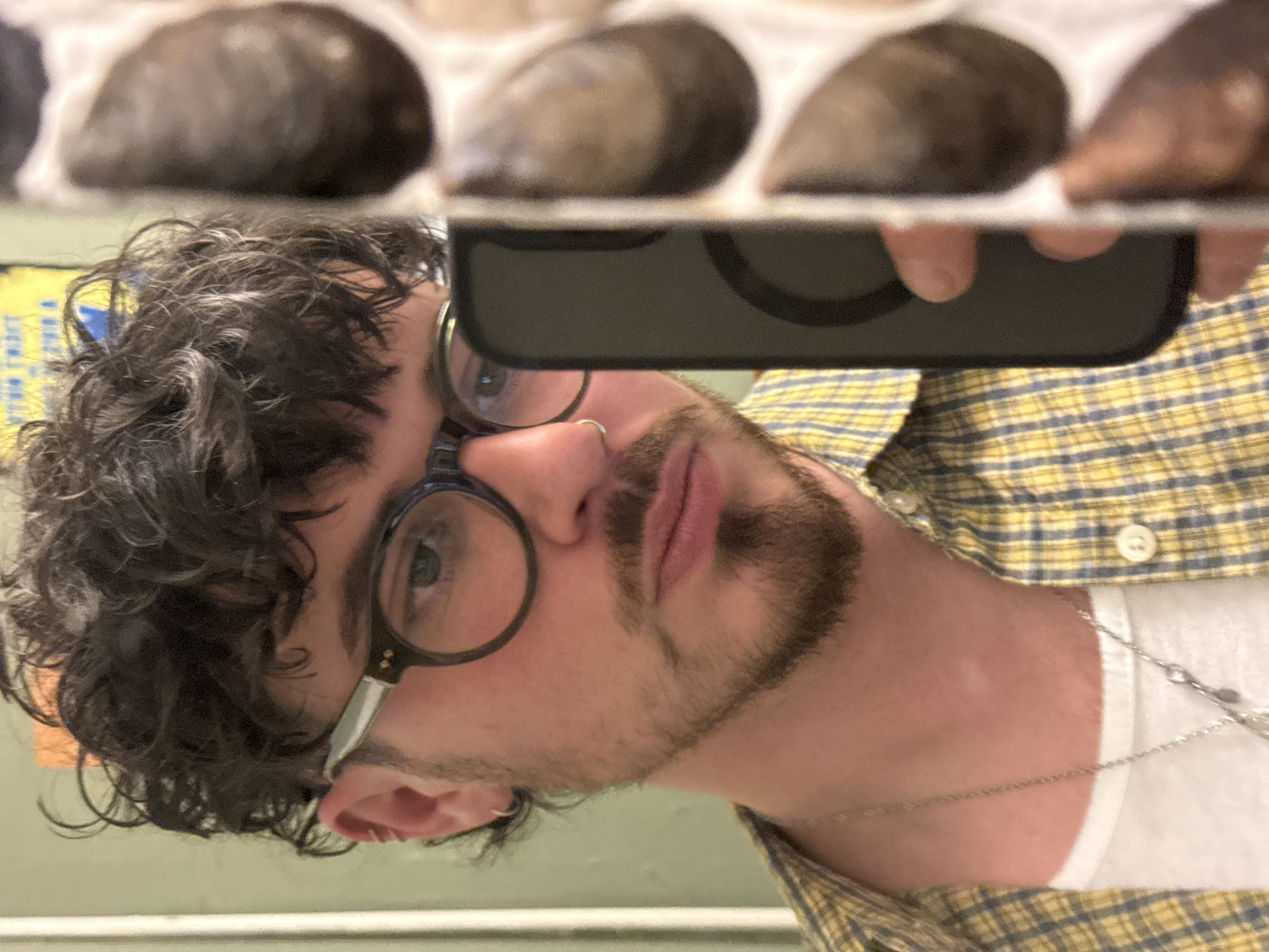 A man with curly dark hair and a patchy beard is taking a selfie in a bathroom mirror. He is wearing round glasses, a yellow and blue plaid shirt over a white t-shirt, and a silver necklace. His phone is visible in the reflection, obscuring part of his face. Above him in the mirror are multiple blurry, oval-shaped objects. The background consists of a pale green wall and possibly a bulletin board with a yellow poster partially visible. The location is a bathroom, presumably in a private residence, but the city and specific details of the location are unknown.