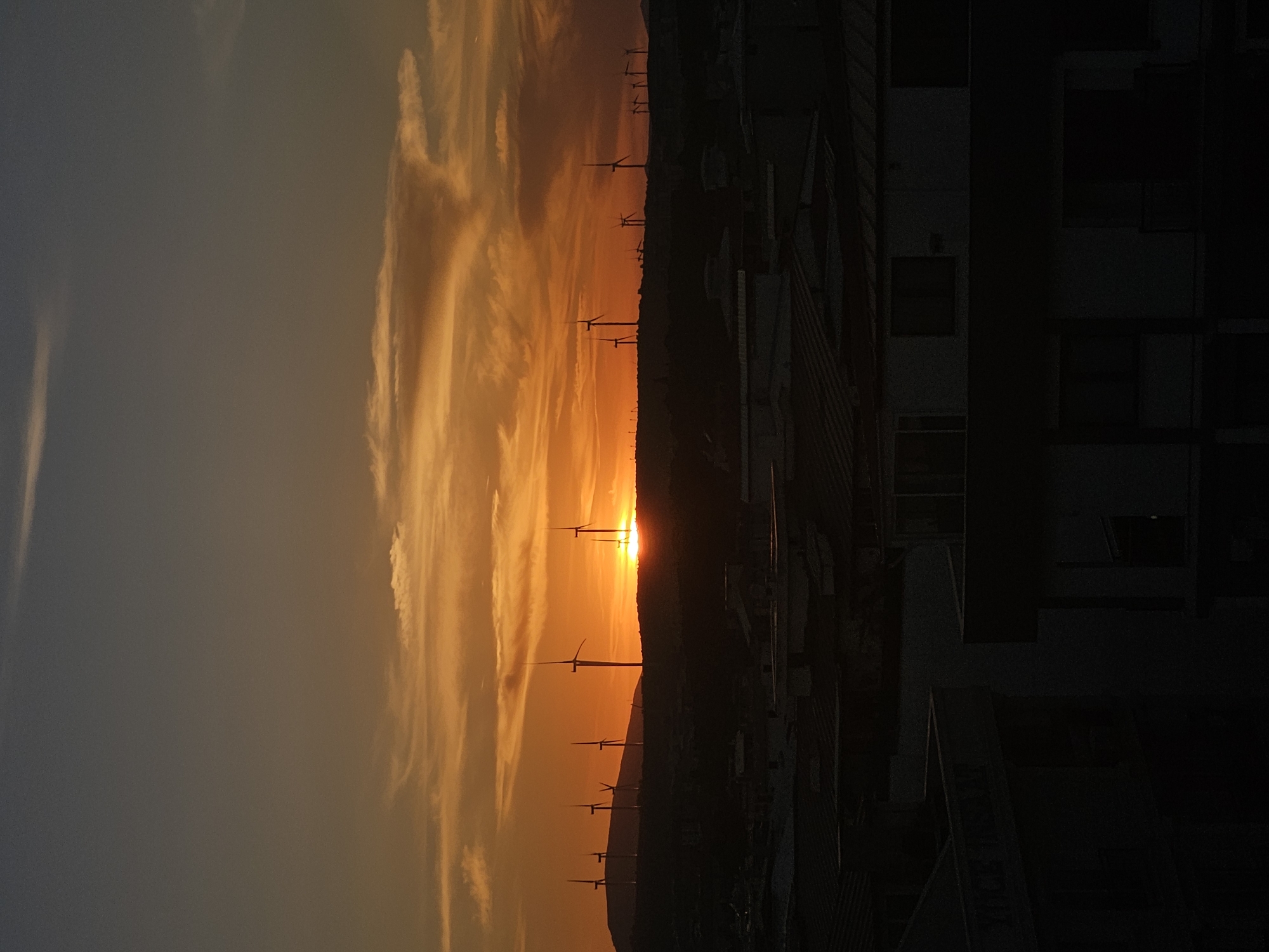 A wide shot captures a sunset over the city of Seferihisar, Turkey. The sky is ablaze with hues of orange and yellow, with wispy clouds streaking across the horizon. In the foreground, dark, silhouetted buildings create a stark contrast against the vibrant sky. Silhouettes of wind turbines are visible on a distant hill, their blades caught in the golden light. The scene is devoid of any visible people or discernible action, presenting a tranquil, natural panorama.