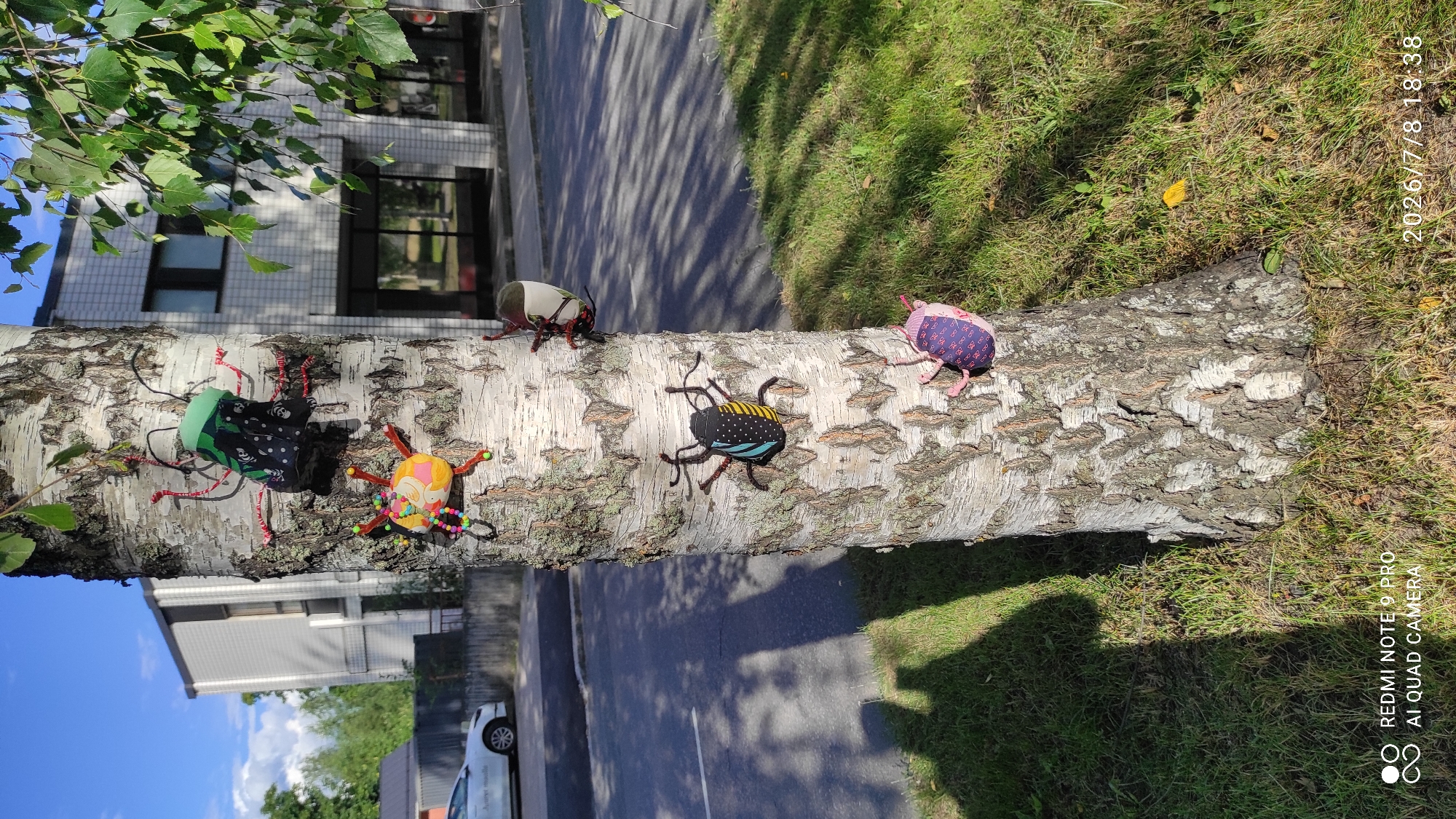 The image shows a fallen birch tree trunk, laid horizontally across a grassy area next to a paved path and a building. Attached to the trunk are five decorative, handmade insects.
The insects are varied in color and design. One has a green top and black fabric with a white pattern for its body, and red pipe cleaner legs. Another has a yellow and orange body with colorful beaded decorations and red pipe cleaner legs. A third is black with yellow and blue polka dots and black pipe cleaner legs. The fourth is gray and white with red pipe cleaner legs. The fifth is covered in a pink and purple patterned fabric with pink pipe cleaner legs.
The scene appears to be outdoors, likely in a park or residential area, given the presence of the building and paved path. Green leaves from a nearby tree hang into the upper left of the frame. The lighting suggests it is daytime, with shadows cast on the grass and path. The sky is blue and partly cloudy.
Visible text in the image includes a watermark in the lower right corner that reads "REDMI NOTE 9 PRO AI QUAD CAMERA" and a timestamp "2026/7/8 18:38" on the right side. The location context provided is Iisalmi, Finland.