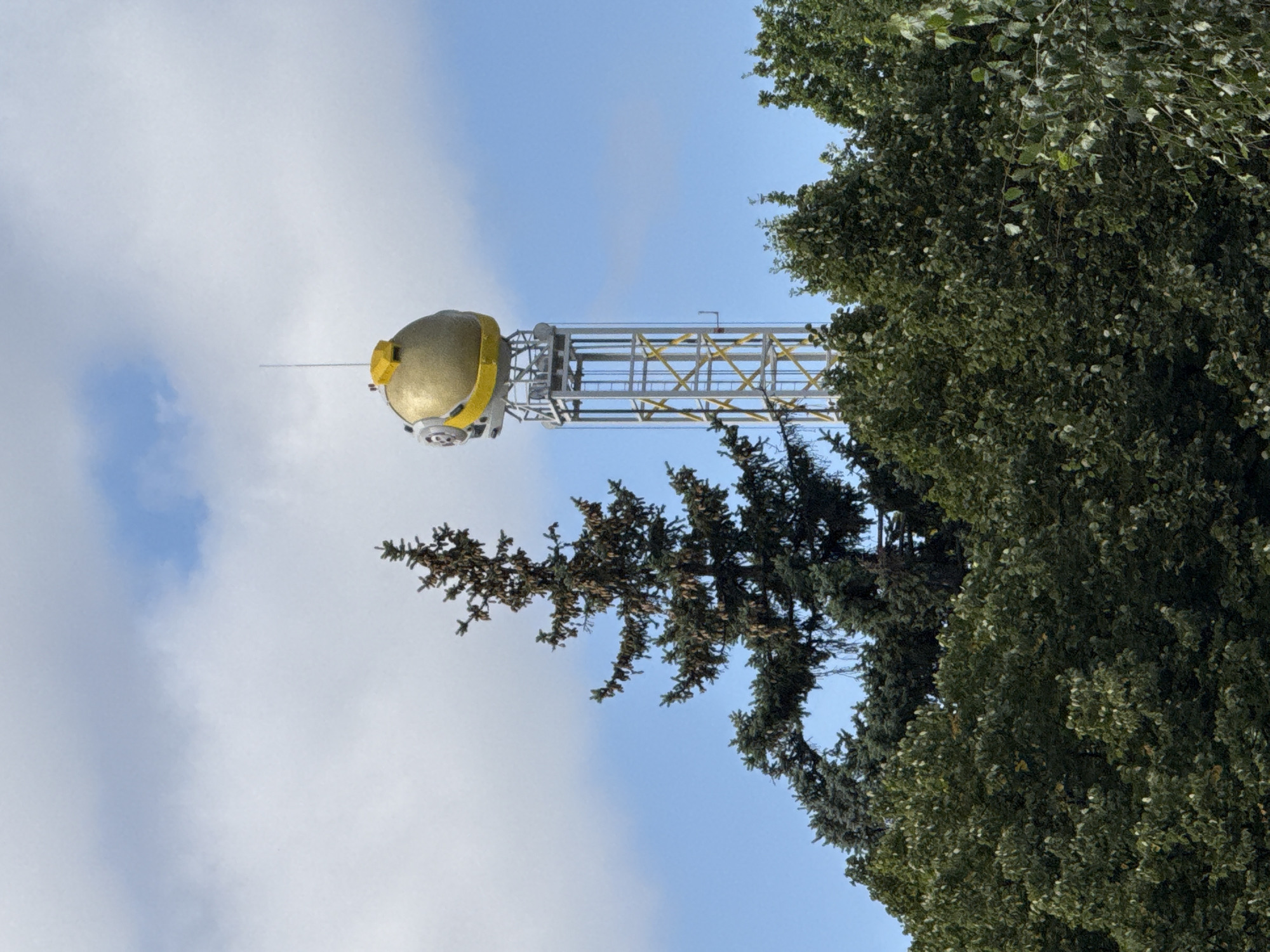 The image shows a tall, silver tower topped with a gold, helmet-like structure. The tower has a lattice design and is adorned with yellow accents. It is situated amidst a dense canopy of green trees, with the top of a dark green evergreen tree reaching up towards the sky on the left side of the tower. The sky is a clear blue with scattered white clouds. The tower's unique design suggests it might be a landmark or part of a recreational facility. This is the landmark "Diver" in the city of Khimki, Russia.