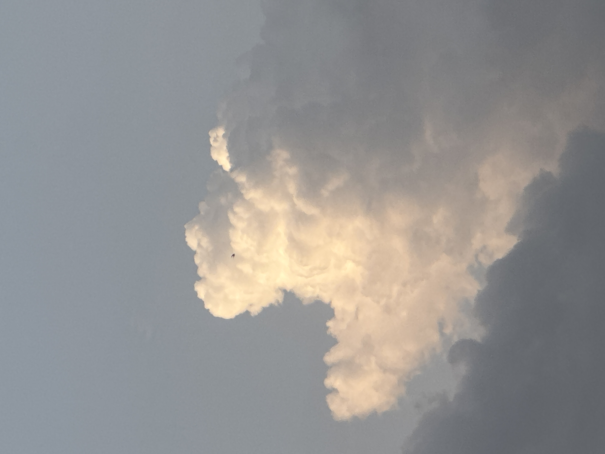 The image displays a dynamic sky scene dominated by diverse cloud formations. A large, brightly illuminated cumulus cloud, glowing with a golden-white hue from direct sunlight, occupies the central and right portions of the frame. The left edge of this luminous cloud presents a distinct shape, reminiscent of a profile, possibly a lion or a human face with a prominent brow and nose, facing leftward. A tiny, dark, indistinct speck, likely a bird, is visible against the radiant white cloud near the 'nose' area. To the right and behind this bright cloud, a mass of darker, gray clouds indicates a more shadowed or denser cloud layer. The upper and lower-left areas of the image reveal a clear, light blue sky. The warm, intense illumination of the clouds suggests either strong midday sun or the soft light of sunrise or sunset. The scene captures the natural beauty and contrasting elements of the sky over Ihiagwa, Nigeria. There is no visible text.