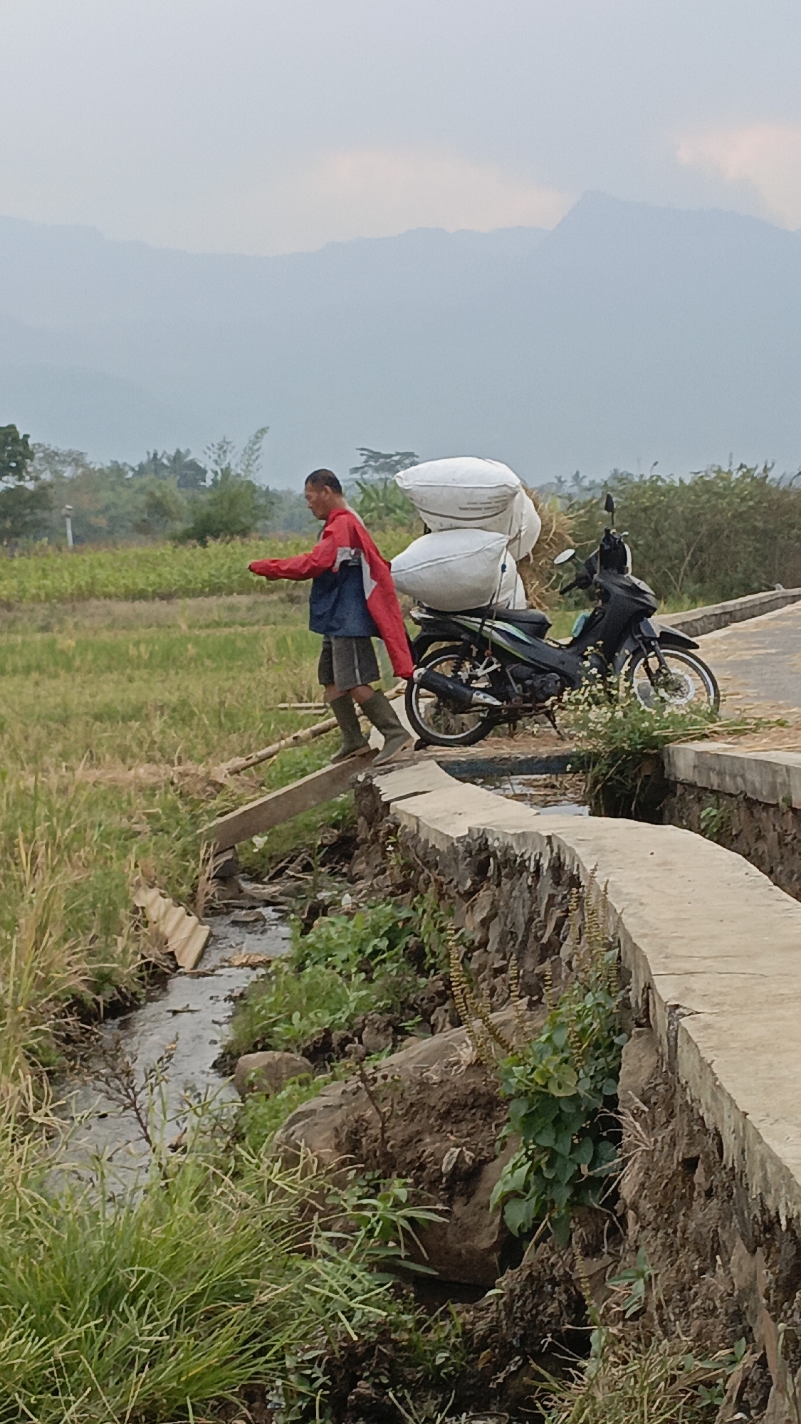 A man wearing a red jacket over a blue shirt, grey shorts, and green rubber boots is crossing a narrow stream on a plank. He is carrying a red cloth over his left shoulder. To his right, a black motorcycle is parked on a paved path. The motorcycle has two large white sacks secured to its rear. The scene takes place in a rural area with green rice fields and lush vegetation. In the background, rolling hills and mountains are visible under a hazy sky. The path is lined with a stone wall. This image was taken in Salatiga, Indonesia.