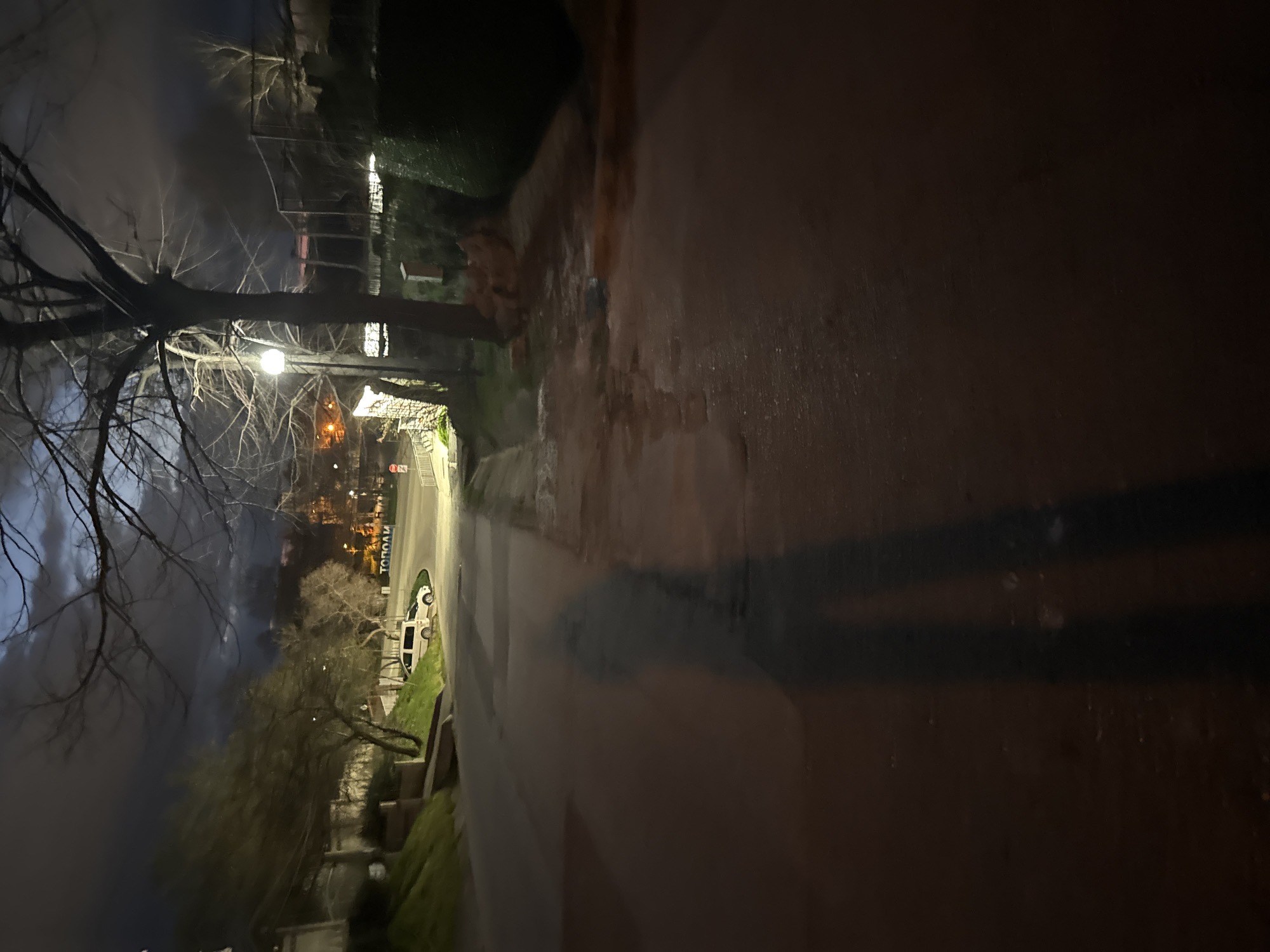The image shows a street scene in Topoli, Bulgaria at night. A street light illuminates the street and sidewalk, casting a long shadow onto the pavement. Bare trees are visible to the left, silhouetted against a cloudy sky. Cars are parked along the street. The pavement appears wet.