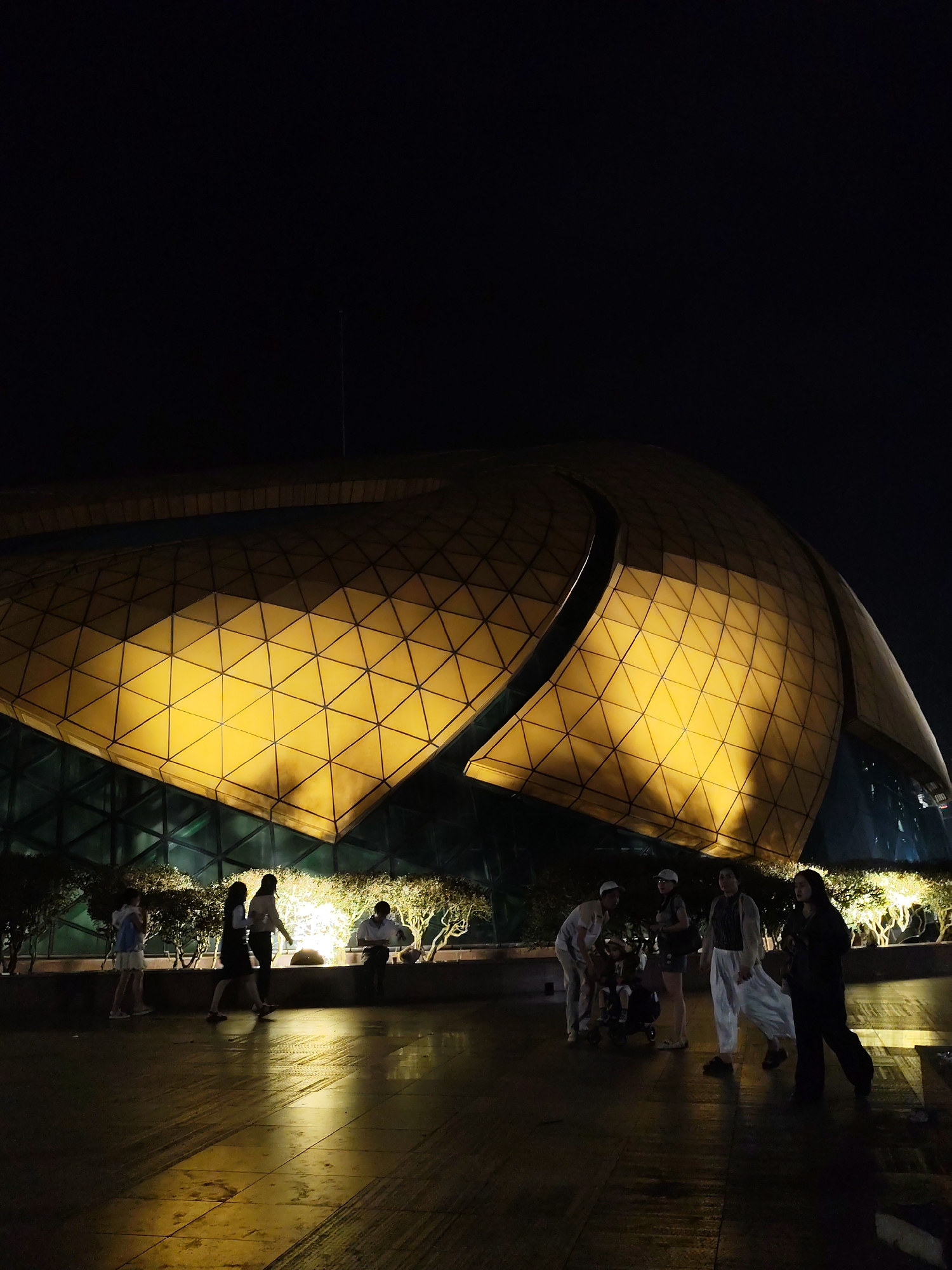 This image depicts the exterior of the Da Lat Concert Hall in Da Lat, Vietnam, at night. The prominent feature is the building's unique, petal-shaped golden roof, illuminated by internal lighting that creates a patterned glow. The roof is composed of a grid of triangular panels, with some sections appearing more intensely lit than others. Below the roofline, a glass facade is visible, reflecting the ambient light and surroundings.
In the foreground, a paved area is wet, suggesting recent rain or cleaning, with reflections of the building's lights casting long shadows. Several individuals are present in the scene. On the left, two young females are walking away from the camera. Further to the right, a group of adults are gathered, some standing, one crouching, and a stroller is visible. One individual is seated on a low wall or planter. The surrounding area is lined with trees and shrubs, also illuminated by spotlights, creating a soft glow behind the people. The overall atmosphere is one of a public space at night, with the illuminated architecture serving as the focal point.