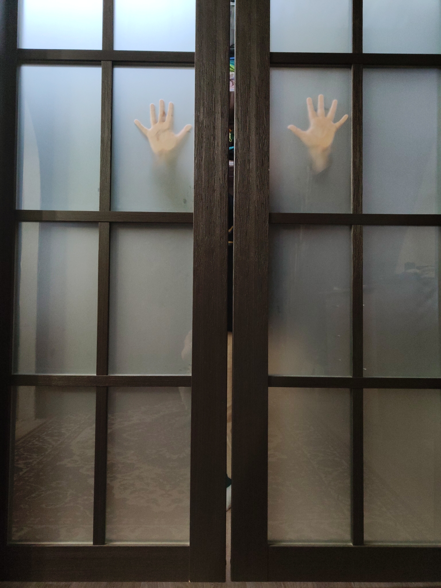 The photograph depicts a pair of dark-framed glass paneled doors. The glass is frosted, obscuring details behind them. Two hands are pressed against the glass panels, one on each door. The hands are positioned roughly at the center of each panel. The background is out of focus, but there seems to be a floor covering like carpet or a rug visible through the bottom panes. The specific location within the city of Unknown, Unknown, is not discernible from the image.