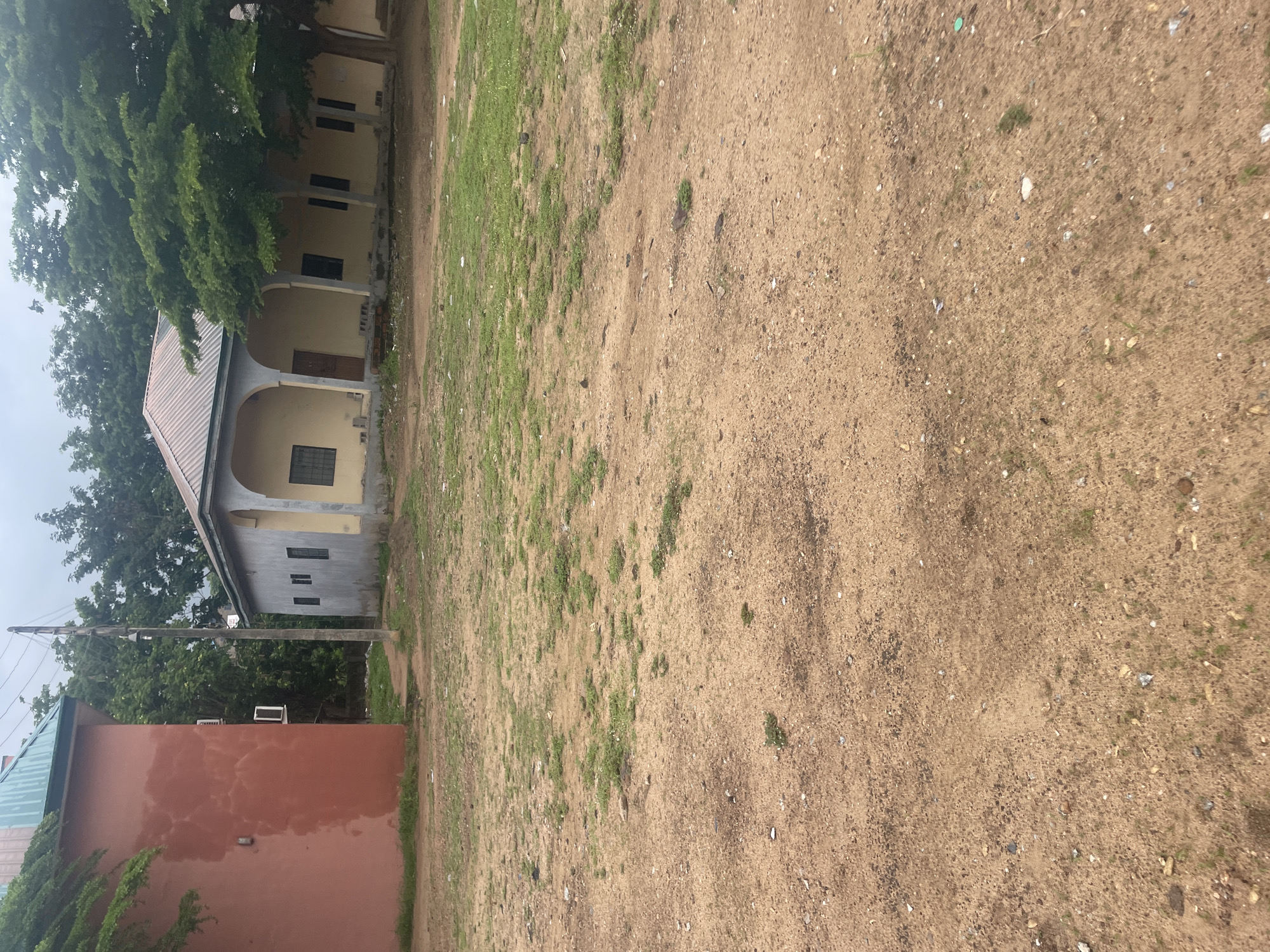 The image depicts an outdoor scene with a dusty ground in the foreground and buildings and trees in the background. On the left, a portion of a red building with a green roof is visible. To its right, a light-colored building with an arched walkway and a brown roof is situated, partially obscured by lush green trees. A telephone pole with wires stands between the two structures. The ground is primarily composed of dry soil with sparse patches of green grass. Several small, dark-colored birds are scattered across the ground in the middle ground. The sky appears overcast. The scene is likely located in Lokoja, Nigeria, given the architectural style and vegetation.