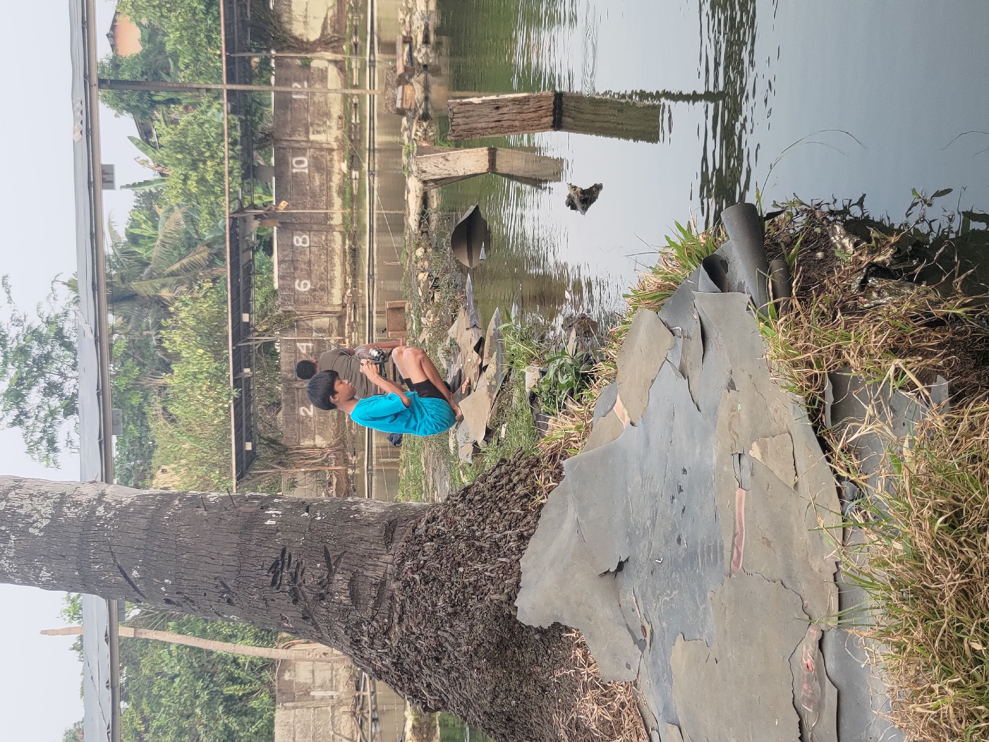 The image depicts a scene in Depok, Indonesia, likely a fishing pond or a similar recreational area. In the foreground, a large, weathered palm tree trunk is prominent on the left, with its base covered in a dense mass of roots. Some large, dark, peeling sheets of material are spread on the ground in front of the tree and extending towards the water. Dry, brown grass and some green grass grow in patches around this material and the tree base.
To the right of the palm tree, a young boy wearing a bright blue t-shirt and black shorts is crouched down, looking at his mobile phone. He is positioned near the edge of a body of water. Further back, a second person, also male, is visible and appears to be holding a fishing rod. The water is calm with reflections of the surroundings.
In the background, a concrete wall runs along the edge of the pond, with numbers painted on it, possibly indicating fishing spots (e.g., 2, 4, 6, 8, 10, 12). Above the wall, a covered structure with a dark roof is supported by poles. Beyond this structure, lush green foliage and trees are visible, characteristic of the tropical environment. The sky is overcast. The overall impression is of an outdoor leisure space, potentially with a rustic or informal setup.