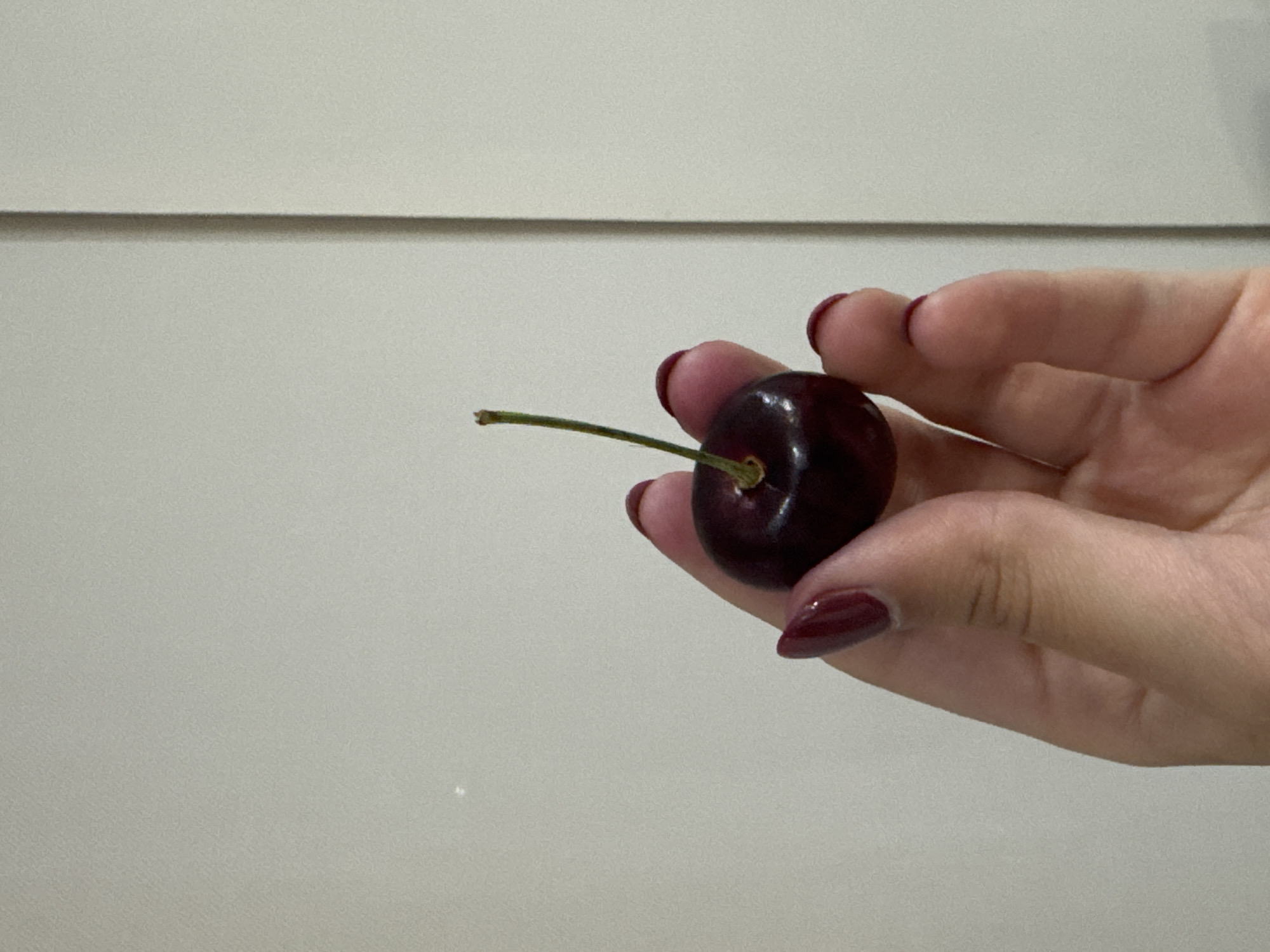 A hand with red nail polish holds a single dark cherry by its stem. The background is a light gray wall with a horizontal groove. The location is not discernible.