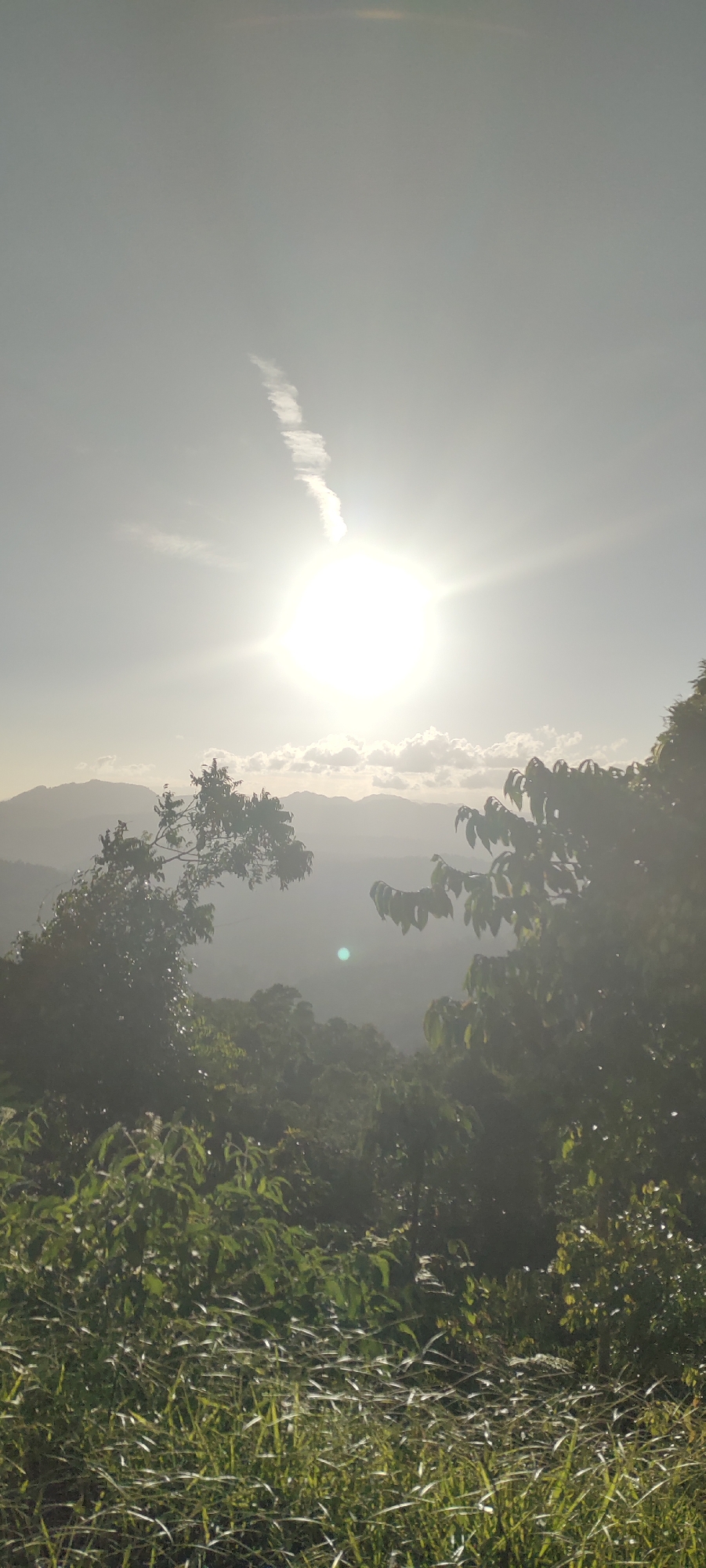 The image captures a landscape scene in the city of Unknown, Indonesia. In the foreground, there is a patch of tall grass and some leafy bushes. Two trees are visible on either side of the frame. Further in the background, a dense forest or jungle slopes down into a valley. The backdrop is formed by a range of mountains silhouetted against the bright sky. The sun is positioned high in the sky, appearing as a bright, circular orb with rays radiating outwards. Directly above the sun, there is a contrail, a line of cloud formed from aircraft exhaust. The lighting of the scene indicates that it may be dawn or dusk. The overall tone is one of natural beauty and serenity.