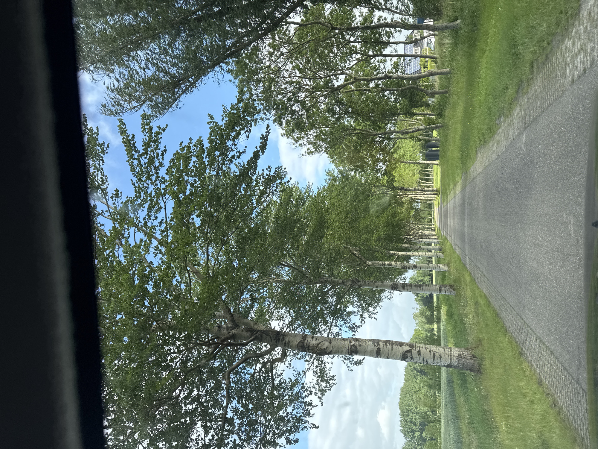 The image depicts a straight, paved road lined with trees on both sides, creating a tree-lined avenue. The road appears to be in a rural or semi-rural setting, possibly in the vicinity of Ferwert, Netherlands, given the characteristic landscape and architecture visible. On the left side of the road, there is a field of green grass and crops, and in the distance, more trees form a dense treeline. The right side of the road also features a grassy verge and a line of trees, behind which a house with solar panels on the roof is partially visible, along with a white vehicle parked in front. The sky is blue with scattered white clouds, and the lighting suggests it is daytime. The perspective is from inside a vehicle, looking forward through a windshield, as indicated by the black frame at the top of the image. The trees are deciduous, with full green foliage, indicating a spring or summer season. The road surface is asphalt with a paved border on the left. The overall scene conveys a sense of a tranquil drive through the Dutch countryside.