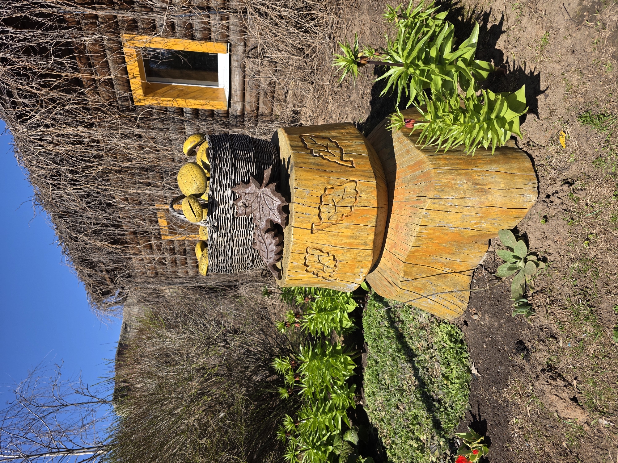 The image shows an outdoor scene in Uspenskii, Russia, featuring a rustic building with an exterior covered in vines and a yellow-framed window. In front of the building sits a decorative wooden bench carved with leaf patterns, along with a basket filled with yellow spherical objects resembling gourds or squash. The bench is surrounded by various plants and greenery, including some with red flowers. The ground is a mix of dirt and grass. The sky is visible in the upper left corner and is blue. The scene is well-lit, suggesting a sunny day.
