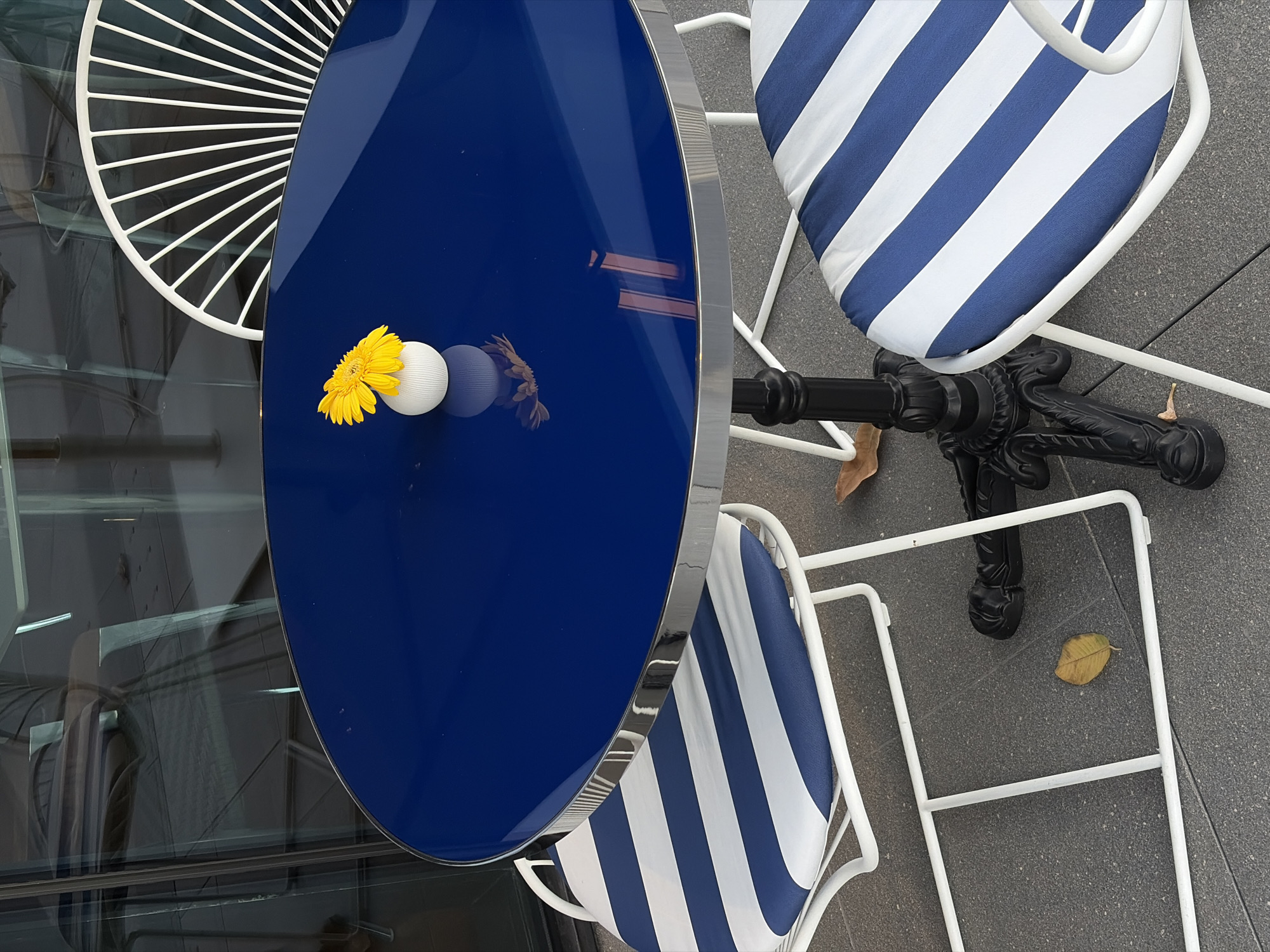 An overhead shot depicts a vibrant scene, likely in Bangkok, Thailand, given the style of outdoor furniture often found in cafes and restaurants there. A shiny, deep blue, oval-shaped table with a reflective surface is the focal point. On the table sits a bright yellow gerbera daisy next to a small, white, textured ball, possibly a decorative item. The reflection of the daisy and the ball is visible on the table's surface.
The table is surrounded by two white, metal-framed chairs. The chairs have cushions with alternating blue and white stripes. A wrought-iron table base with decorative elements is visible between the chairs.
The floor surrounding the table and chairs appears to be a neutral-toned, textured pavement. Two dried leaves lay near the base of the table, further indicating an outdoor setting.
The left side of the image includes reflections of nearby buildings, including white decorative elements like the back of a chair. This suggests the table is located near a window.
