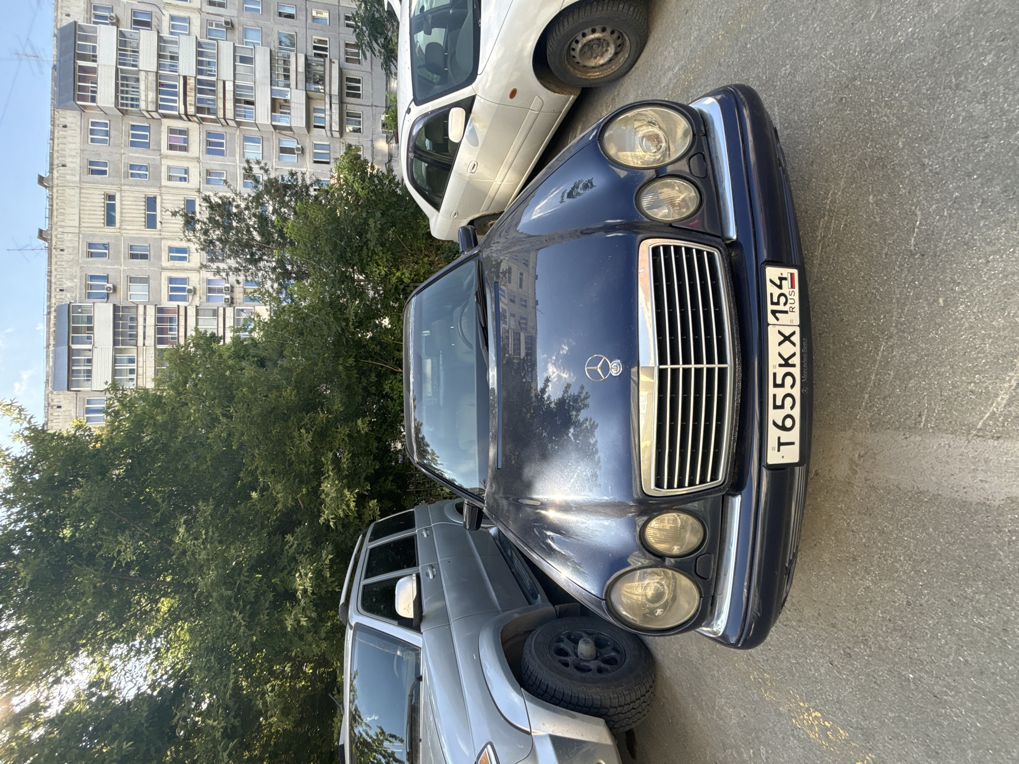 The image shows the front of a dark blue Mercedes-Benz E-Class sedan parked on asphalt, with its license plate reading "T655KX 154 RUS". To the left of the Mercedes is a silver SUV, likely a UAZ Patriot, also parked. To the right of the Mercedes is a white sedan, possibly a Mazda. In the background, a large, multi-story apartment building with many windows and balconies stands behind a dense cluster of green trees. The sky is visible at the top, with sunlight filtering through the trees. The scene appears to be a residential area in Novosibirsk, Russia, given the license plate format. There are no people visible in the image.