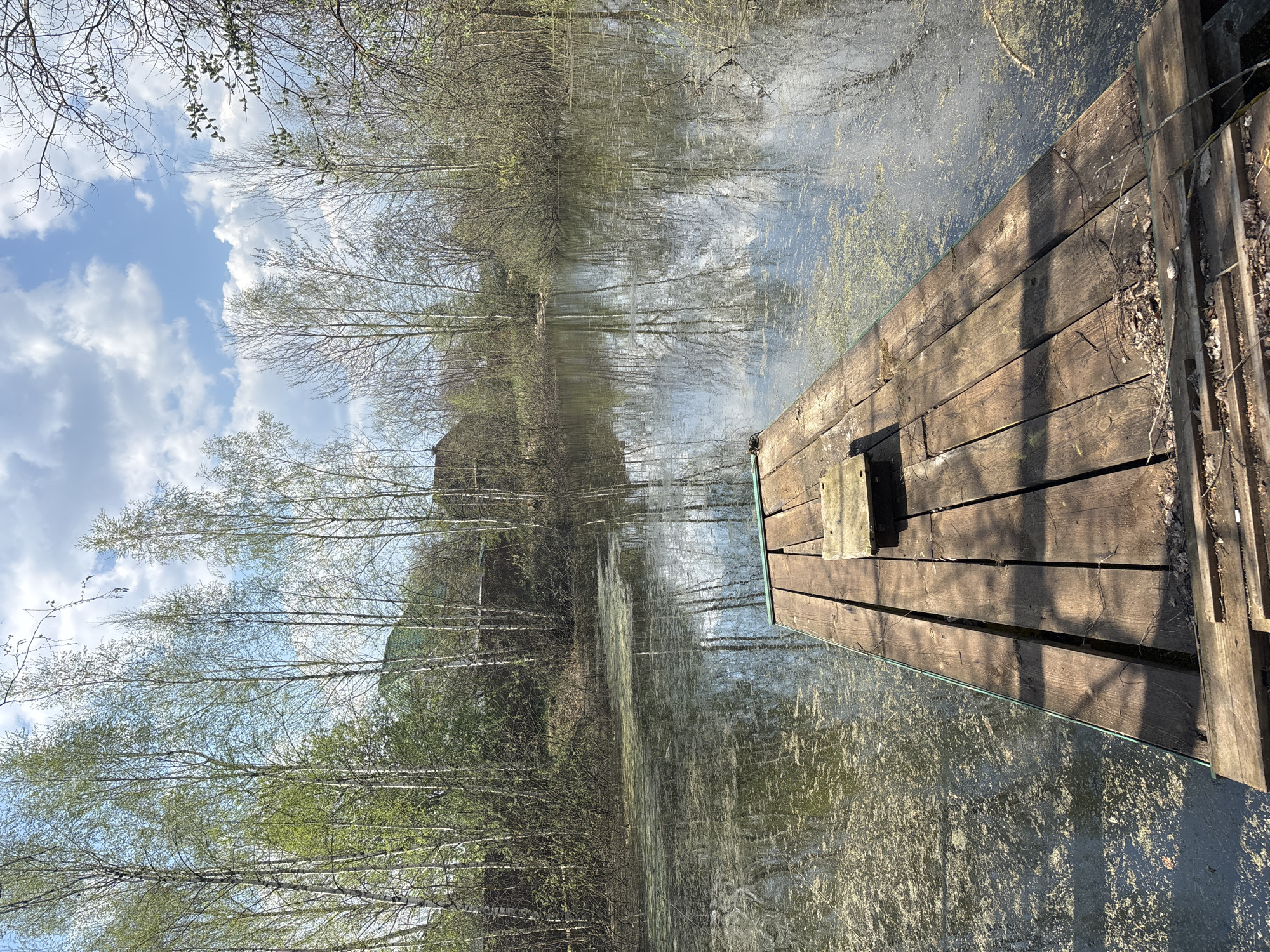 A horizontal outdoor shot depicts a wooden dock extending into a body of water, likely a pond or lake, with trees lining the opposite bank. The water surface reflects the sky and trees. The dock is constructed of weathered wooden planks. The water shows signs of algae or aquatic plant growth. In the background are sparse trees beginning to bud, suggesting springtime, and some structures are present. It is identified as Мещёры, Russia.