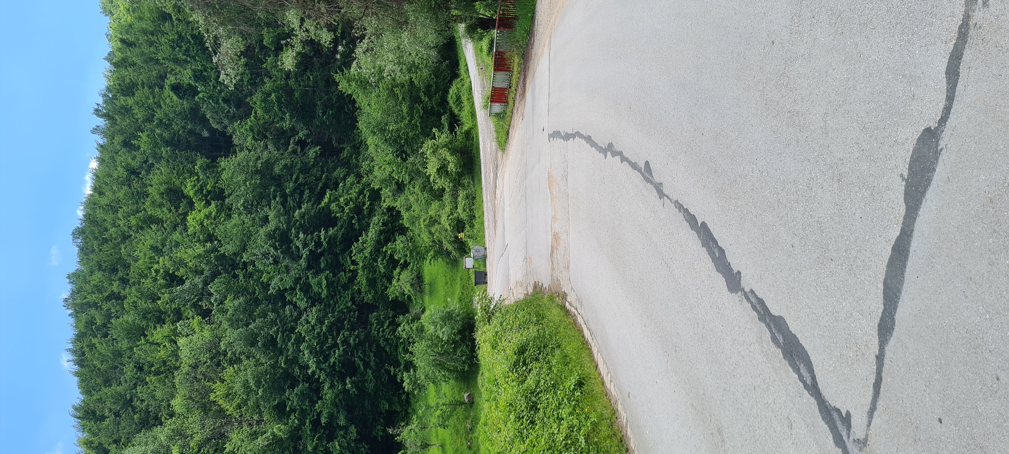 The image presents a rural landscape in Iamna, Bulgaria, under a clear blue sky with minimal cloud cover. A dense, verdant forest, primarily composed of deciduous trees, covers a prominent hillside dominating the background and extending to the lower right. In the foreground, a light gray asphalt road is visible, featuring a distinct, dark, wavy asphalt repair patch or crack running down its center towards the viewer. The road appears to fork or intersect in the middle ground. On the right side of the road, where it curves, a short barrier or railing painted with alternating red and white stripes is present. To the left of the road, near the intersection, two gray outdoor bins are situated alongside a small yellow square sign on a post and a partially obscured white sign. Lush green bushes and grass line the road's edges, particularly on the left. No individuals or animals are visible in the scene.