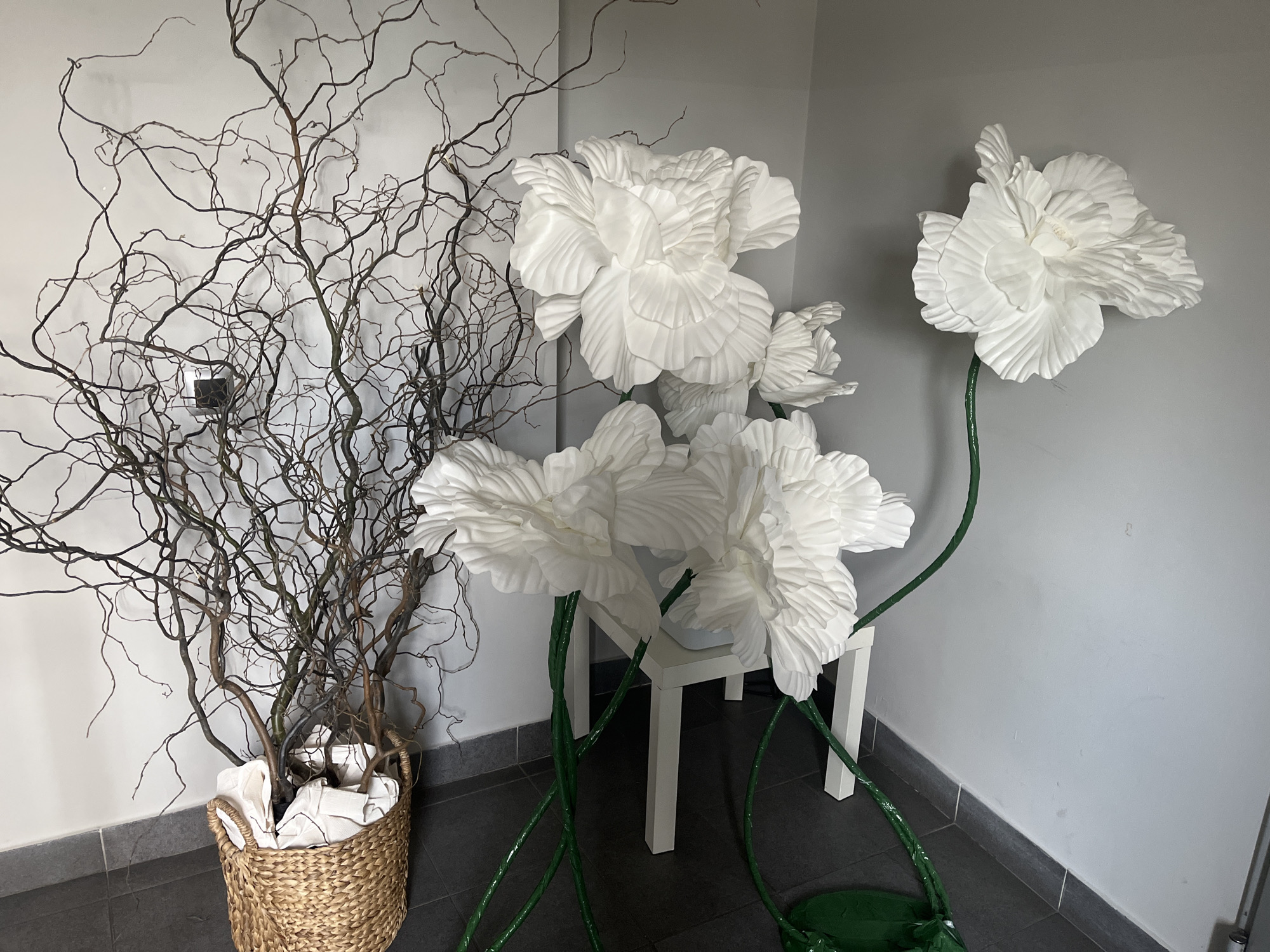 The image shows a corner of a room, likely indoors, with a combination of natural and artificial elements. A woven basket sits on the floor, filled with a bundle of dried, bare branches. Adjacent to the basket are several large, white, artificial flowers with green stems. These flowers appear to be arranged around a white table, with some of the stems extending onto the floor. The background consists of a light grey wall, which provides a neutral backdrop for the display. The location is Unknown, Unknown. There are no people present in the image.