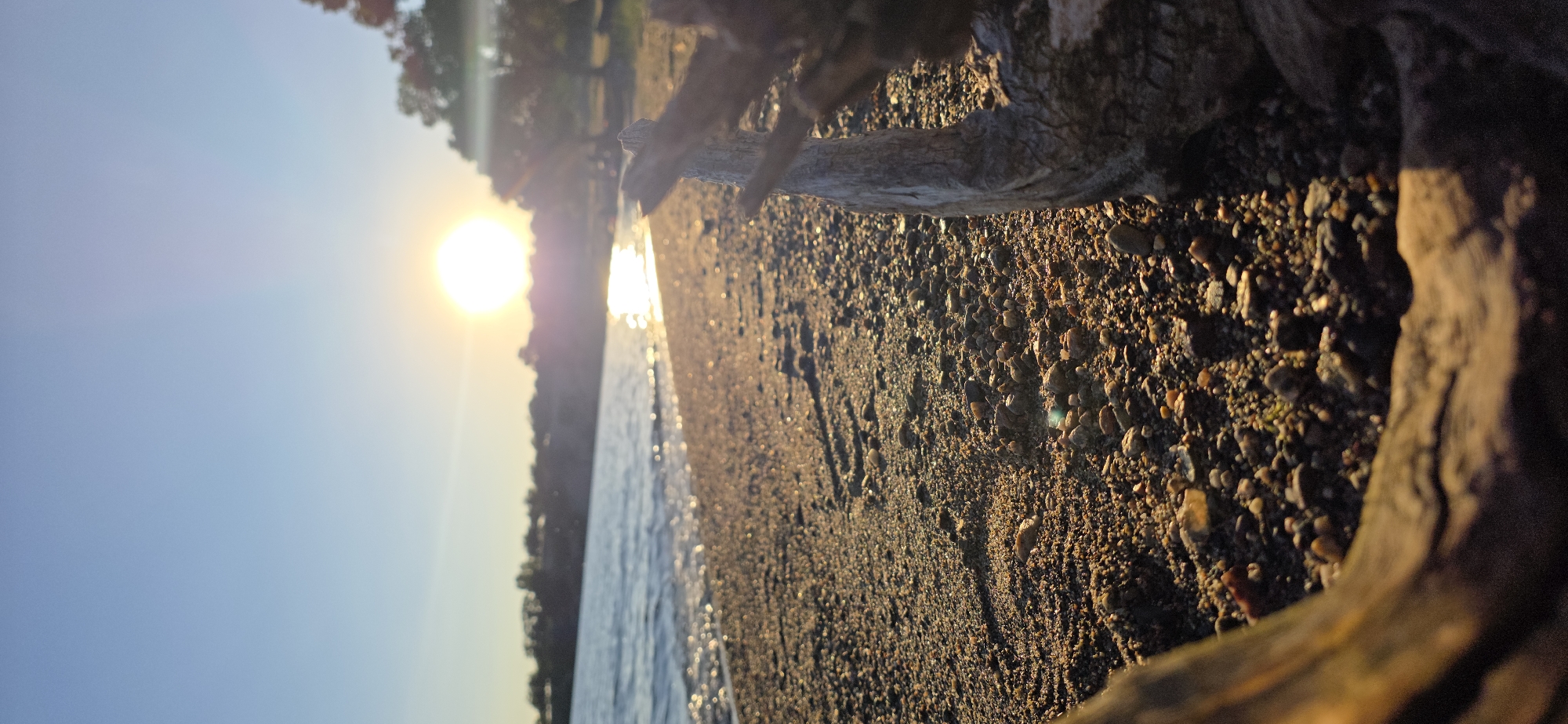 The image depicts a serene beach scene at sunset on the shores of Issyk-Kul Lake in Kyrgyzstan. The sun, a bright orb low in the sky, casts a warm glow across the landscape, creating shimmering reflections on the water. The foreground is dominated by a pebbly beach, with scattered driftwood adding texture and a rustic feel. In the distance, a tree line separates the beach from the sky. The overall impression is one of tranquility and natural beauty, characteristic of a peaceful sunset by the water.