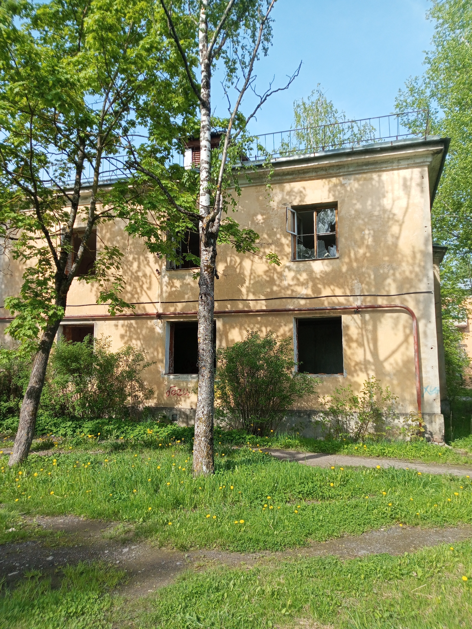The image depicts a dilapidated, two-story building with a yellow, weathered facade. The building is situated in Kommunar, Russia. Several windows are missing panes, indicating disrepair. The ground level is partially obscured by overgrown bushes and tall grass interspersed with yellow dandelions. Two birch trees stand in front of the building, casting shadows across the facade. A rusted pipe runs horizontally along the building's exterior. There is evidence of graffiti on the building's lower section. A metal railing is visible along the edge of the building's flat roof. A path, partially covered in grass, leads towards the building. The sky is clear and blue.