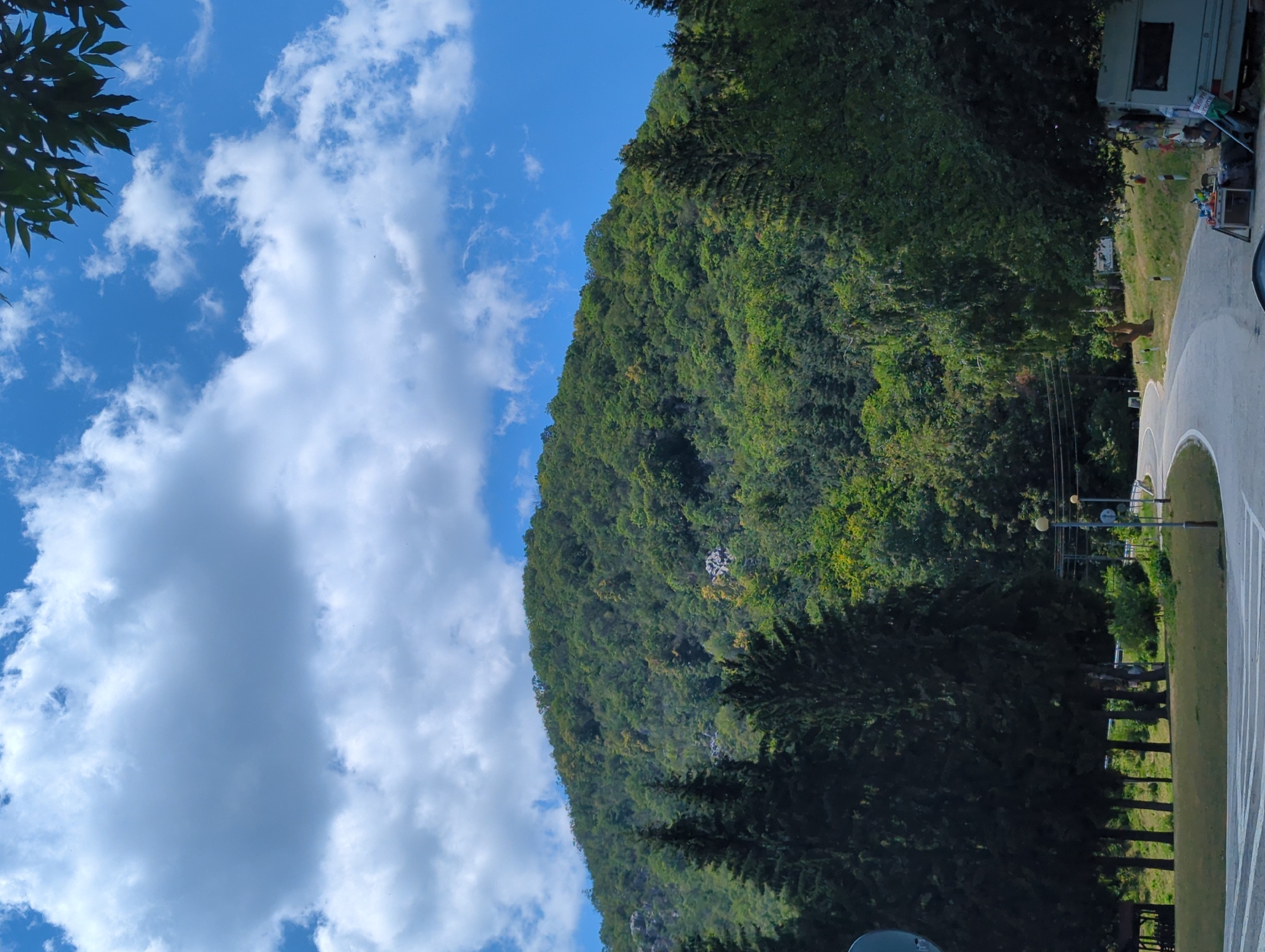 The image captures a view of a lush, green mountain slope under a partly cloudy blue sky. In the foreground, a paved road curves to the right. Several tall, dark green evergreen trees stand to the left of the road. To the right, a white camper van is parked on a grassy area beside the road. A person is seated near the camper van, behind a table with various items on it. The mountain itself is densely covered with trees of varying shades of green, with some patches of lighter foliage, possibly indicating different tree species or seasonal changes. Several streetlights are visible along the side of the road. The scene appears to be in a natural, mountainous setting. The location is identified as Vratsa, Bulgaria.
