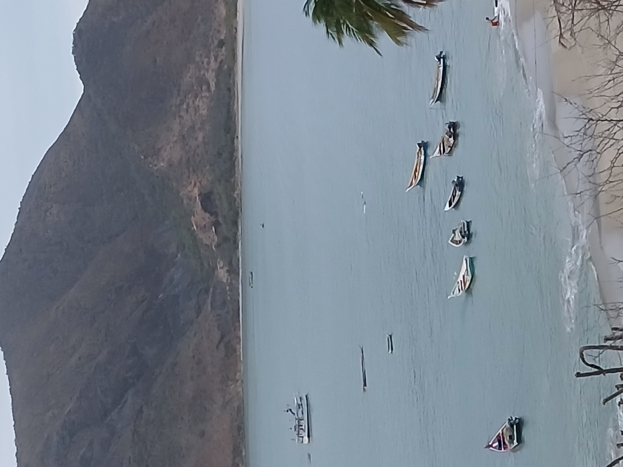 The image depicts a coastal scene in Juan Griego, Venezuela. Dominating the left side of the frame is a large, steep mountain. The water, a pale blue-gray, fills the majority of the frame, and a sandy beach borders the water on the right. Several boats are visible in the water, varying in size and design. A cluster of boats are located closer to the beach, while one is located further away. A larger vessel, possibly a ship or ferry, is anchored in the distance. Vegetation, including a palm tree, is near the beach. Bare tree branches are located in the lower right corner. The sky is overcast.