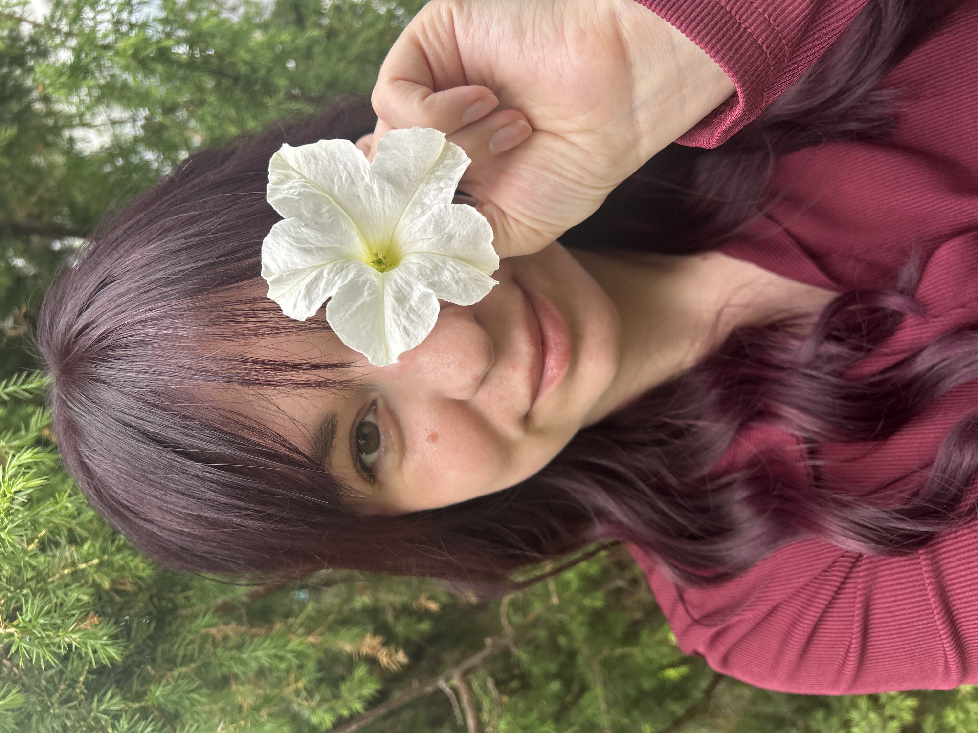 An outdoor portrait depicts a woman with long, dark reddish-brown hair, styled with bangs, and a light-to-medium complexion, smiling subtly and looking directly at the camera with her left eye. She is wearing a ribbed, long-sleeved, dark red top. Her right hand holds a single white flower with a visible yellow-green pistil, obscuring her right eye. The background consists of out-of-focus green foliage, indicative of coniferous trees or dense bushes. The scene is situated in Фоки, Russia.