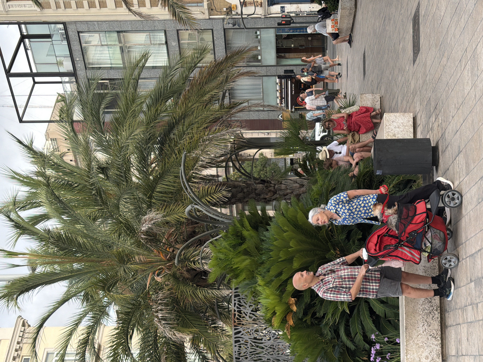 In the foreground, a bald man wearing a plaid shirt and shorts stands beside a red stroller. A woman in a blue and white patterned shirt with white stars is walking beside the stroller, holding its handle and a red leash attached to a small dog in the stroller. To their left, there are purple flowers and a concrete bench. Behind them, a large palm tree dominates the scene, with lush green foliage.
In the midground, several people are seated on a stone bench to the right. A woman in a red dress is looking at her phone. Further back, other individuals are walking and standing, including a man in a white hat. A modern building with dark gray stone and large windows is visible in the background, along with other buildings and palm trees. The ground is paved with light brown tiles. In the far background, traffic lights are visible. The overall scene appears to be an outdoor public space in a city.