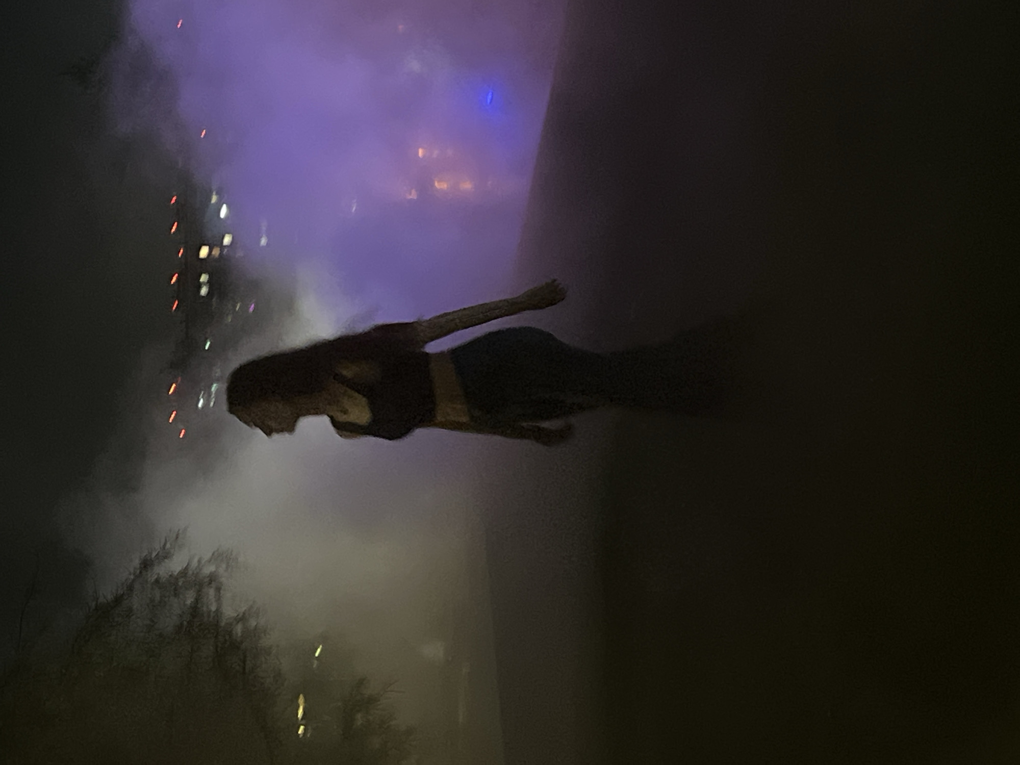 The image depicts a woman standing in what appears to be a park or open area at night, with a backdrop of city lights and purplish fog or smoke. The woman is in silhouette, wearing a dark, possibly athletic top and dark pants. She is looking to her right, with her body angled away from the viewer. The environment is dimly lit, with some trees visible on the left side. Distant lights suggest an urban setting. There is no indication of the specific location within Krasnodar, Russia.
