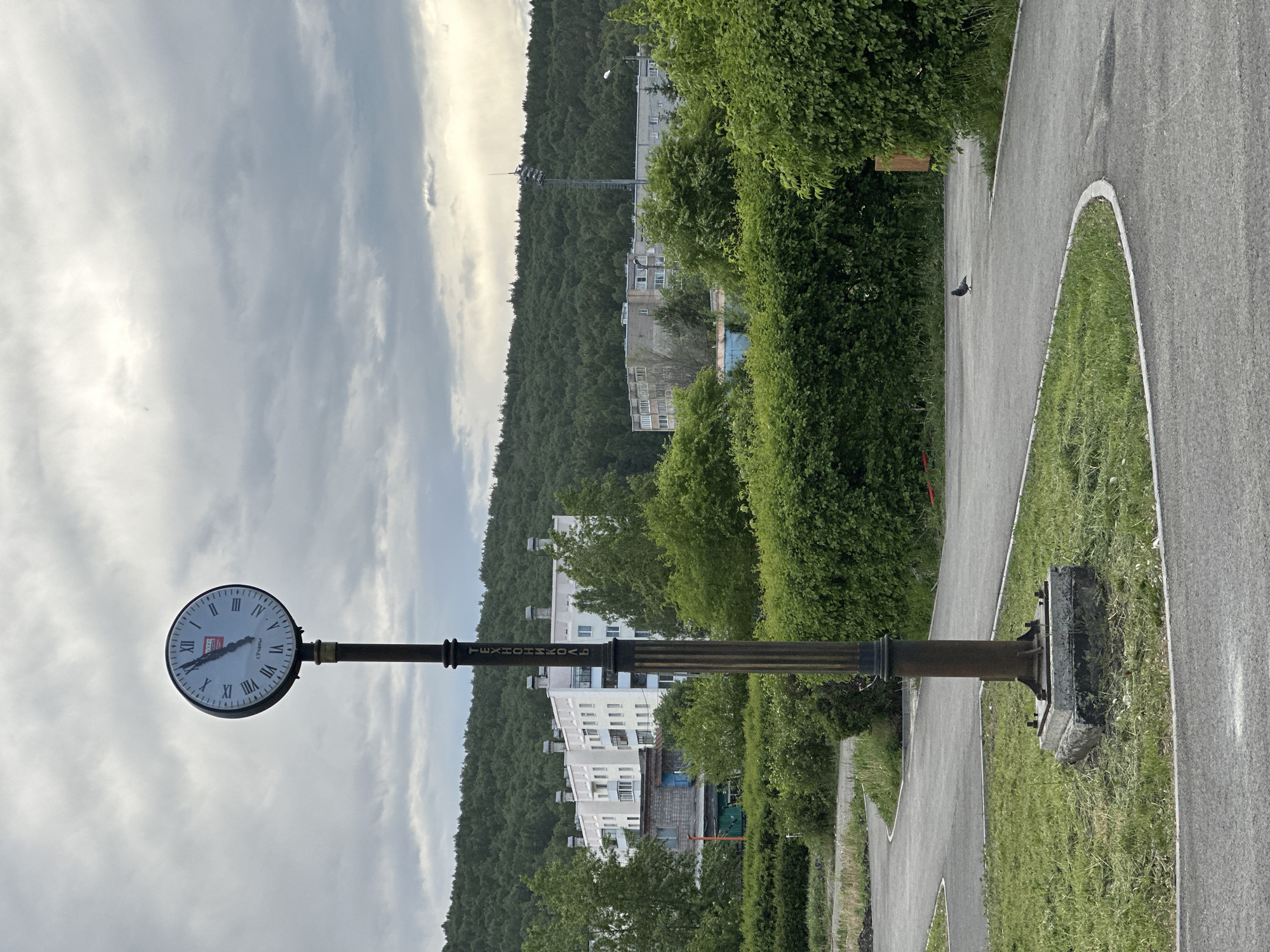 The image shows a street clock located in front of a tree-covered hillside and a residential area. The clock has a white face with Roman numerals and is mounted on a decorative metal pole with the word "TEXHOHHOBAD" vertically oriented on its length. The clock's hands indicate that the time is approximately 8:25. The base of the clock is surrounded by grass and a paved path. There is a pigeon walking on the path. The sky is overcast with grey clouds. It appears that the location is in the city of Guchnyi, Russia.