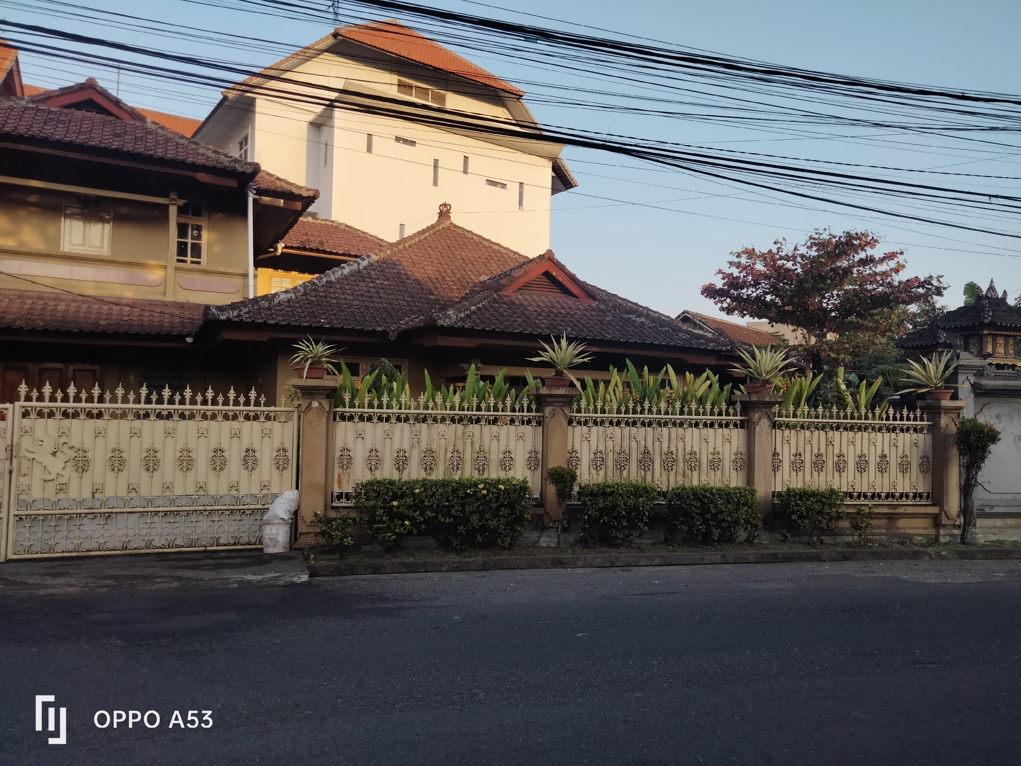 The image depicts a street scene in Denpasar, Indonesia, likely in a residential area. In the foreground, a dark asphalt road is visible. Behind the road is a decorative, light-colored metal fence with intricate patterns and finials. Along the top of the fence, potted plants with long, green leaves are arranged. Below the fence, a neatly trimmed hedge runs the length of the property.
Behind the fence, a house with a terracotta-tiled roof is partially visible. The house features wooden eaves and windows with white frames. Further behind this house, a taller, modern-style building with a white facade and multiple small, rectangular windows stands out against the clear blue sky. The upper portion of the image is dominated by a dense network of black power lines crisscrossing the sky. To the right of the main house, a mature tree with reddish-brown leaves is positioned. In the distance, another building with traditional architectural elements, including ornate roof details, can be seen. The overall impression is of a well-maintained residential area with a mix of older and newer structures, set against a backdrop of utility infrastructure.