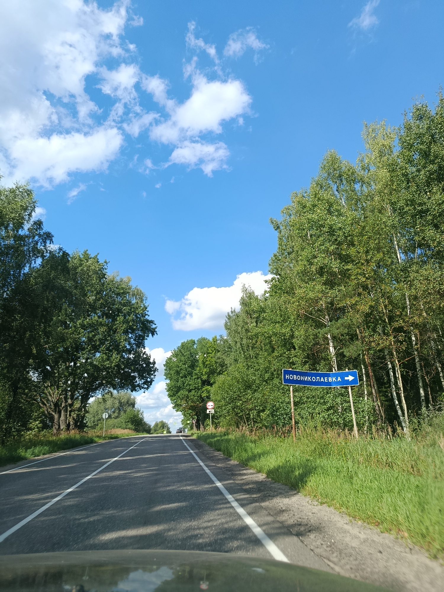 The image shows a road passing through a tree-lined area, likely in or near the city of Novonikolaevka, Russia. The road is paved and has white lane markings. On the right side of the road, a blue sign with white lettering reads "НОВОНИКОЛАЕВКА" and has a white arrow pointing to the right. The area is characterized by lush green trees and grass, under a bright blue sky with scattered white clouds. The perspective suggests the photo was taken from a vehicle traveling on the road. There are no people visible in the image.